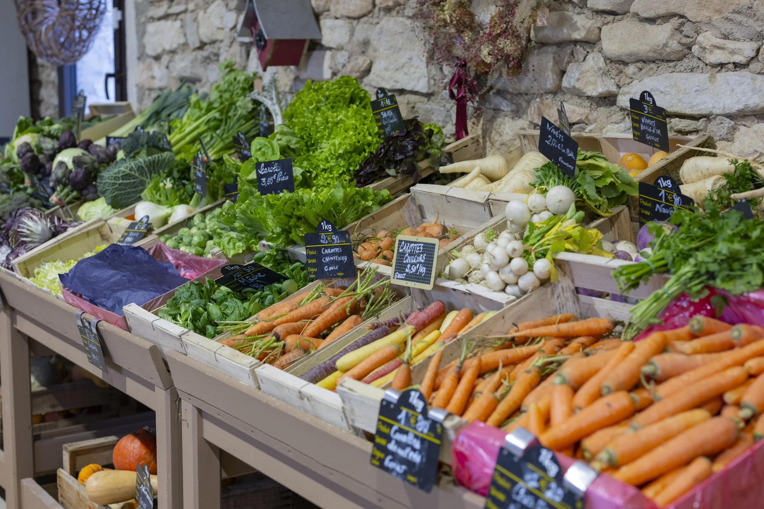 Provence, France, January 2026