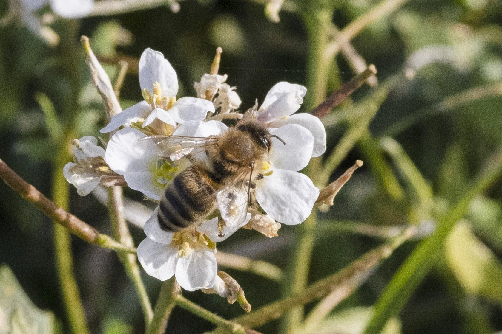 France, January 2026