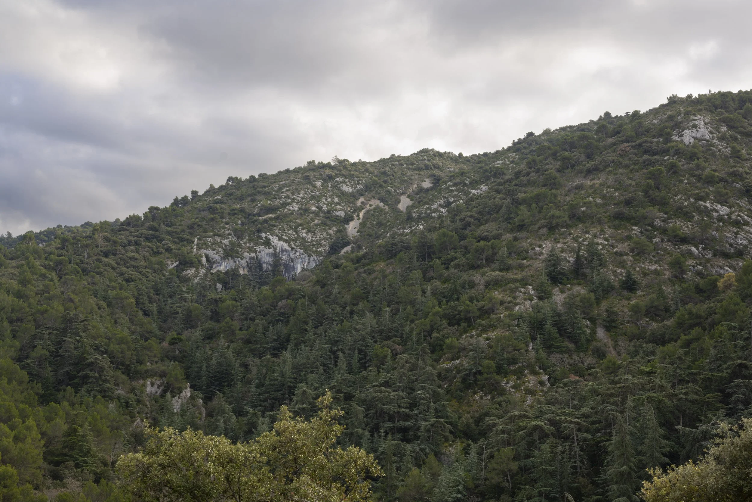 Oppéde-le-Vieux, France, January 2026