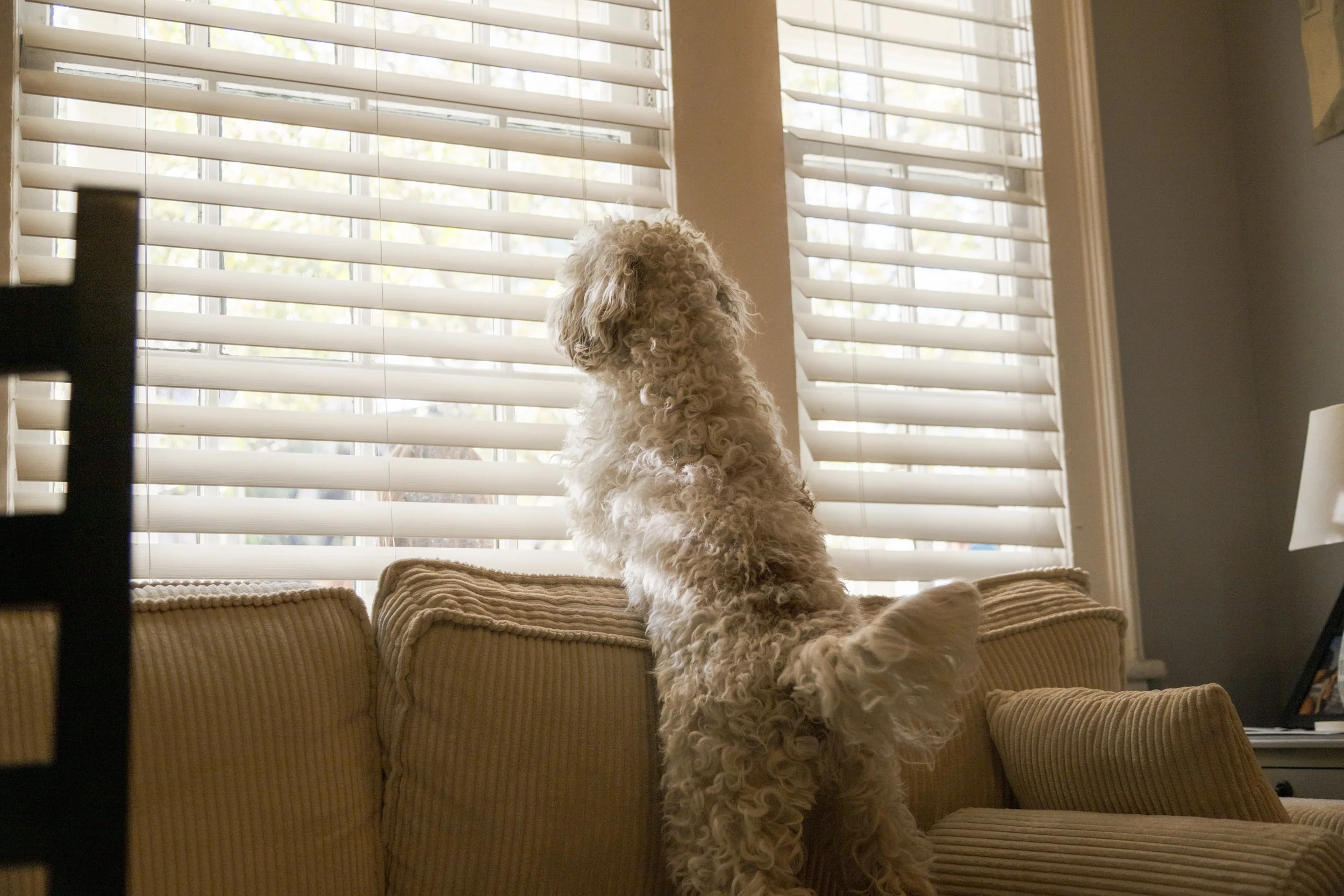 Love All_Day 2-45.jpg