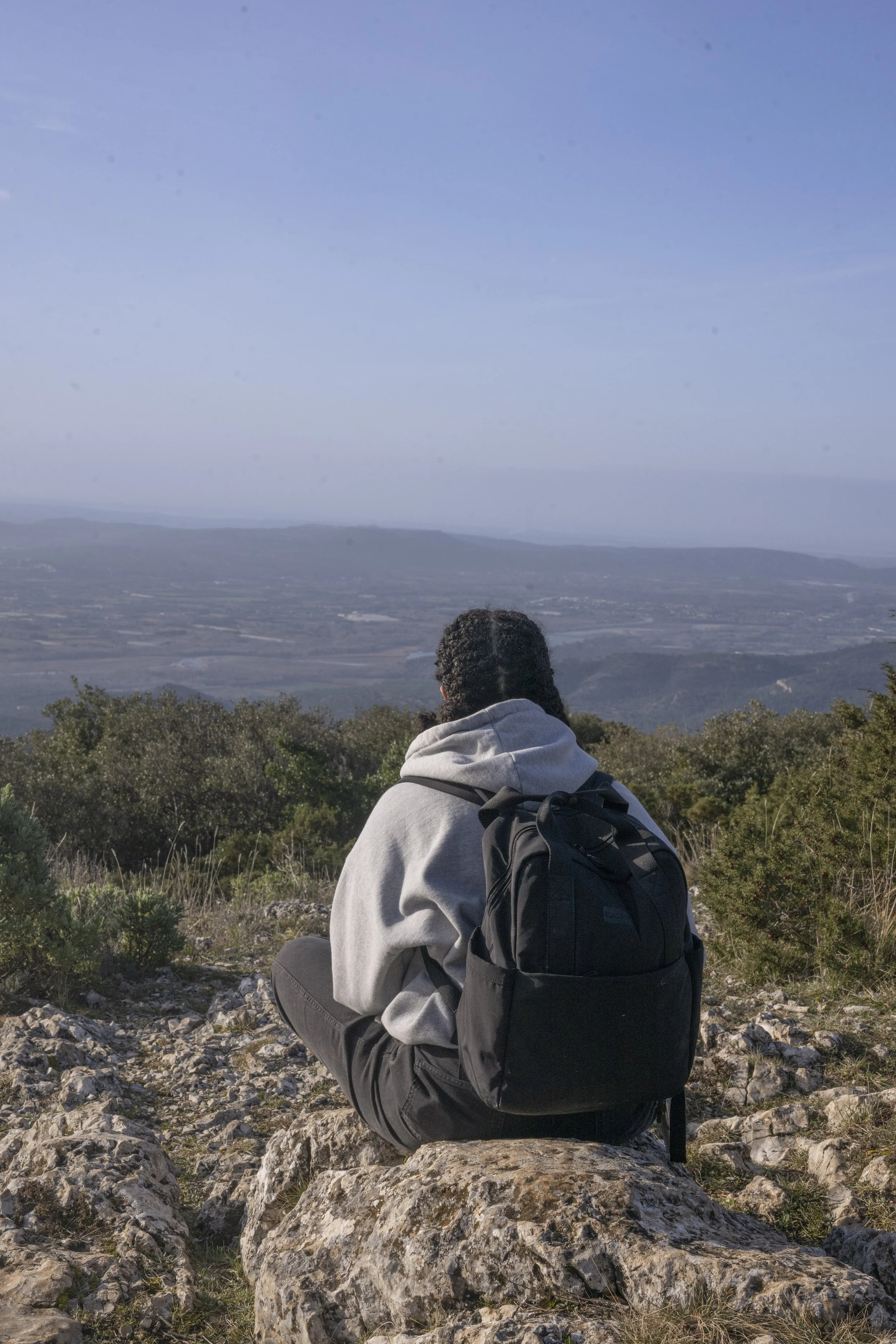 Forêt des Cèdres, France, January 2026