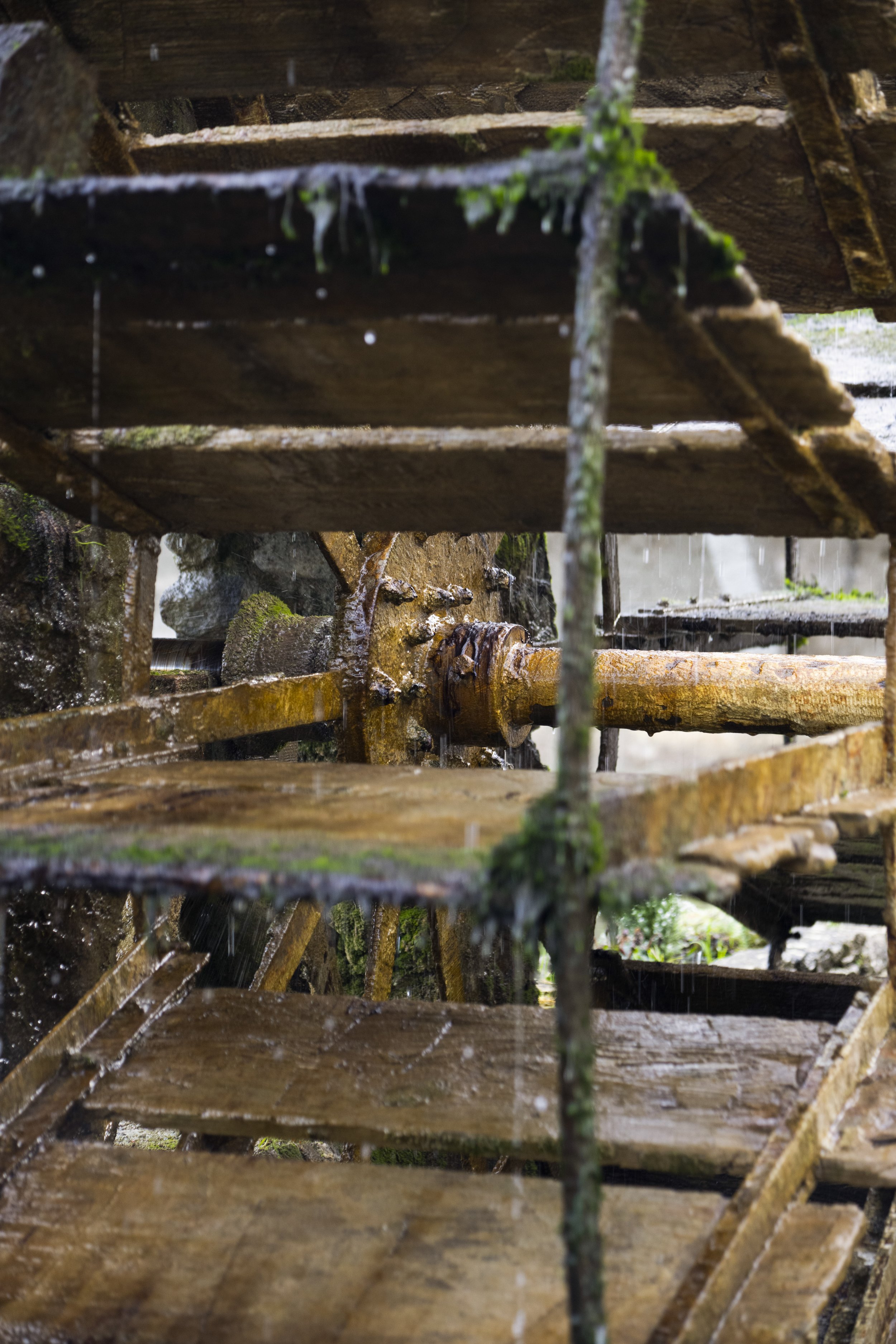 Fontaine-de-Vaucluse, France, January 2026