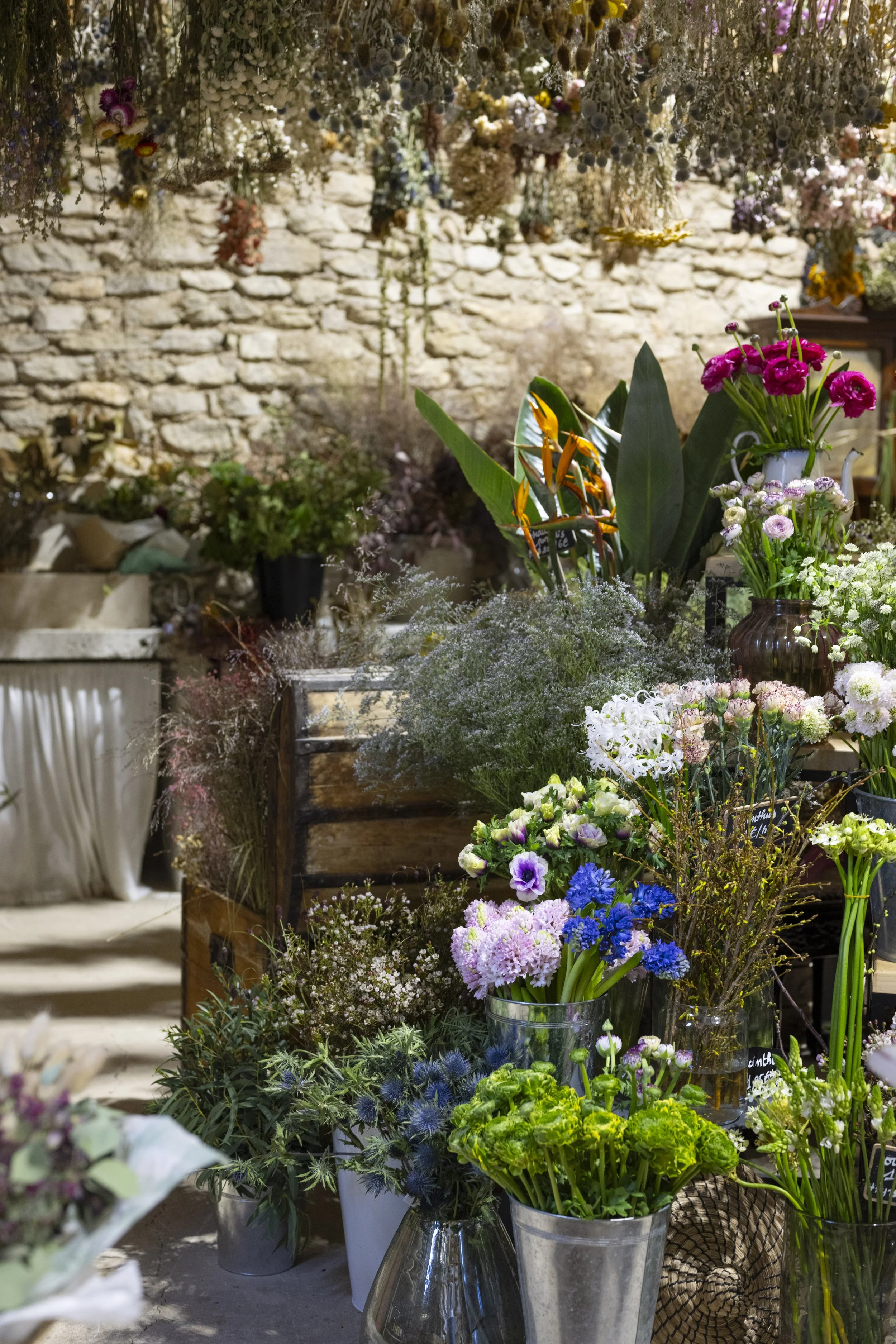 Provence, France, January 2026