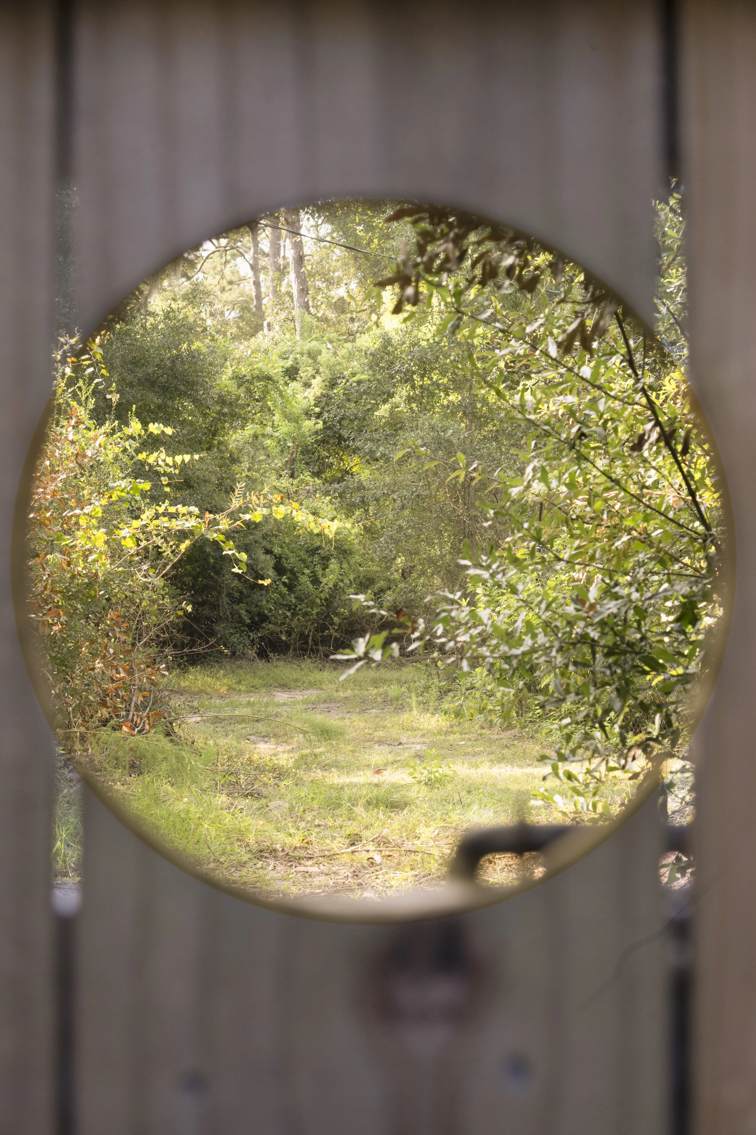 Oatland Island Project-7.jpg