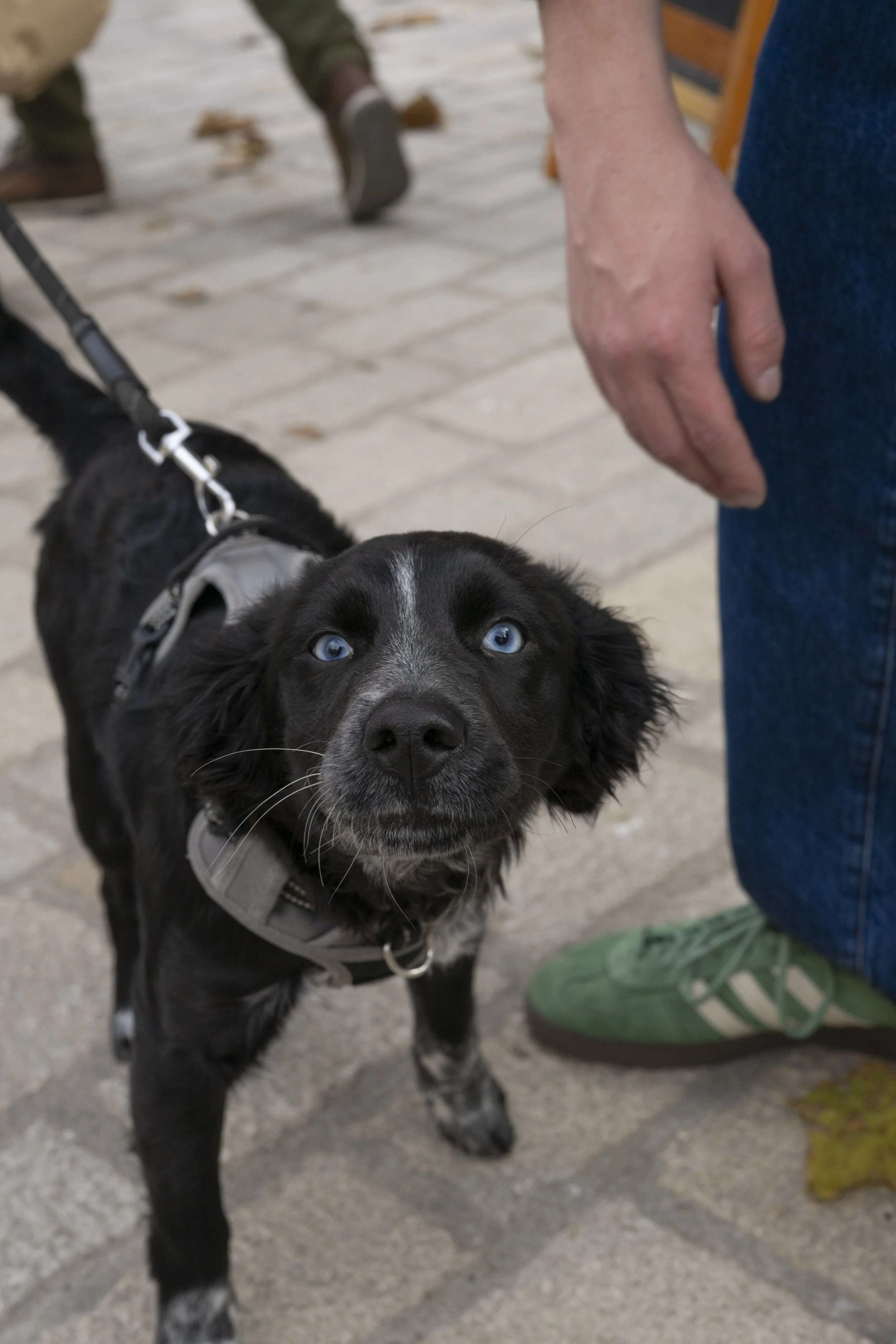 Aix-en-Provence, France, January 2026