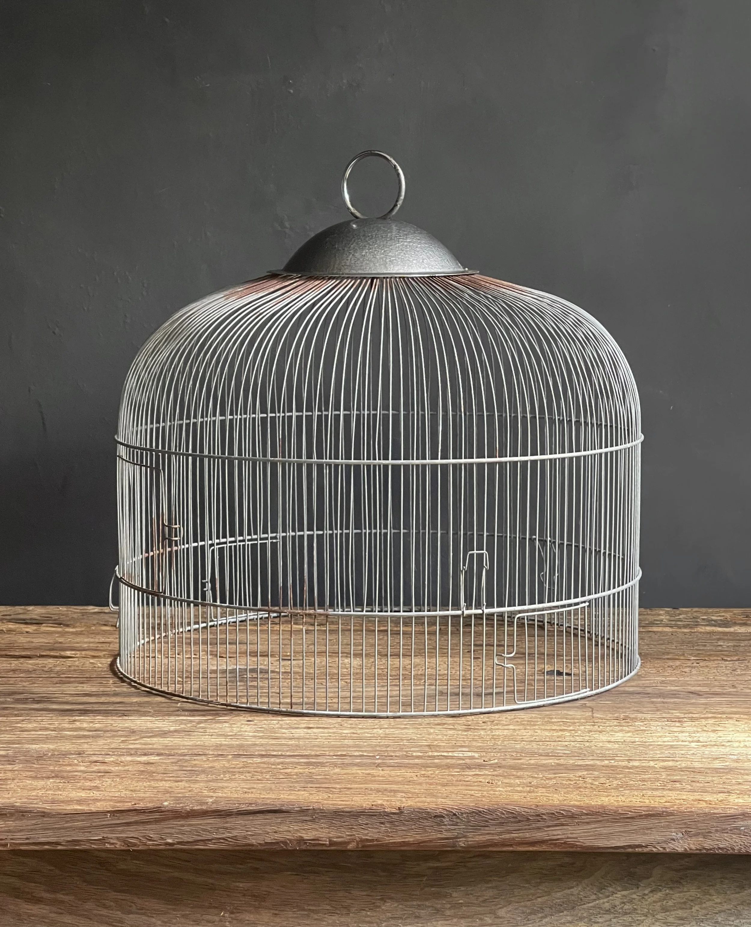 Vintage Bird Cage