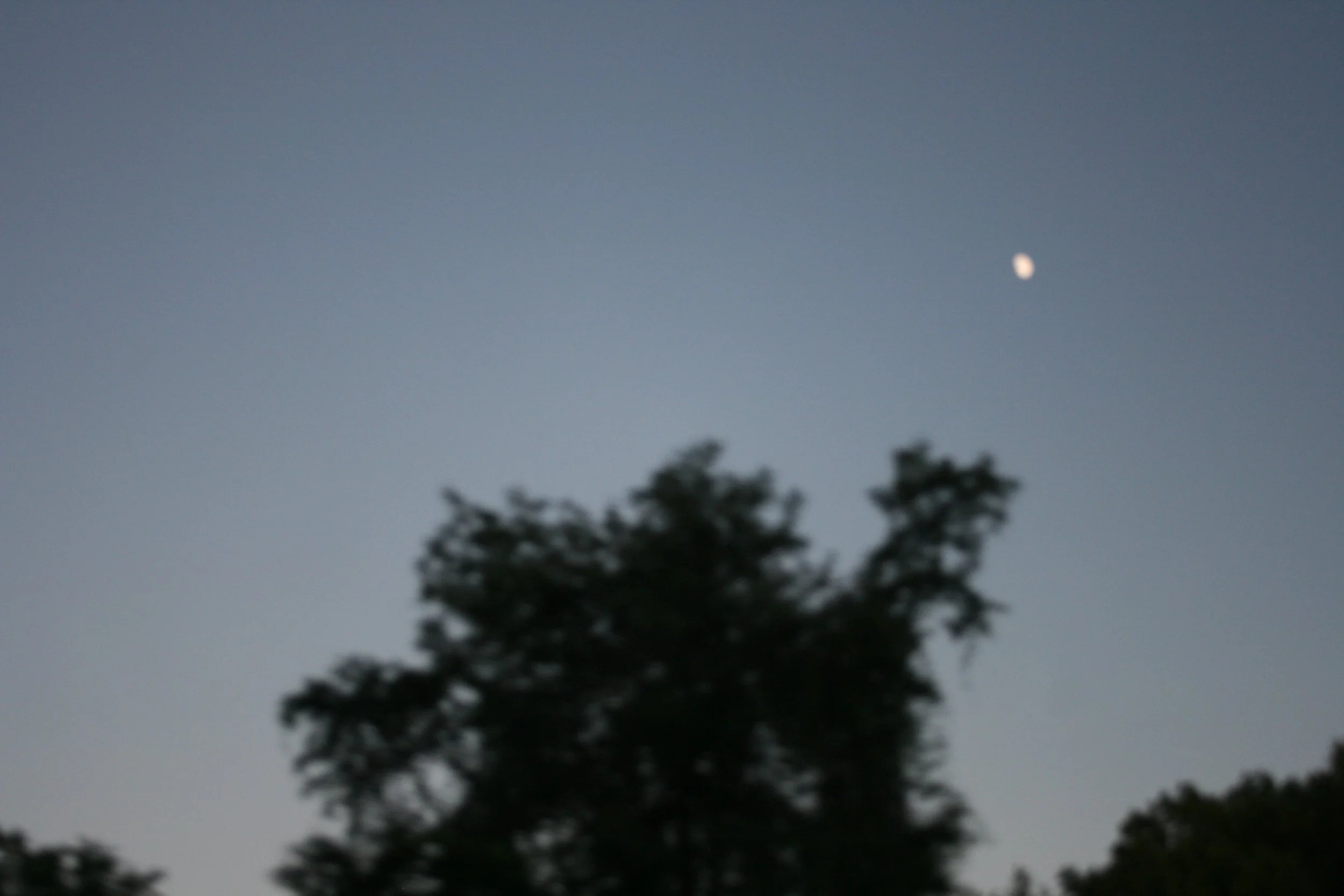 IMG_0319.JPG