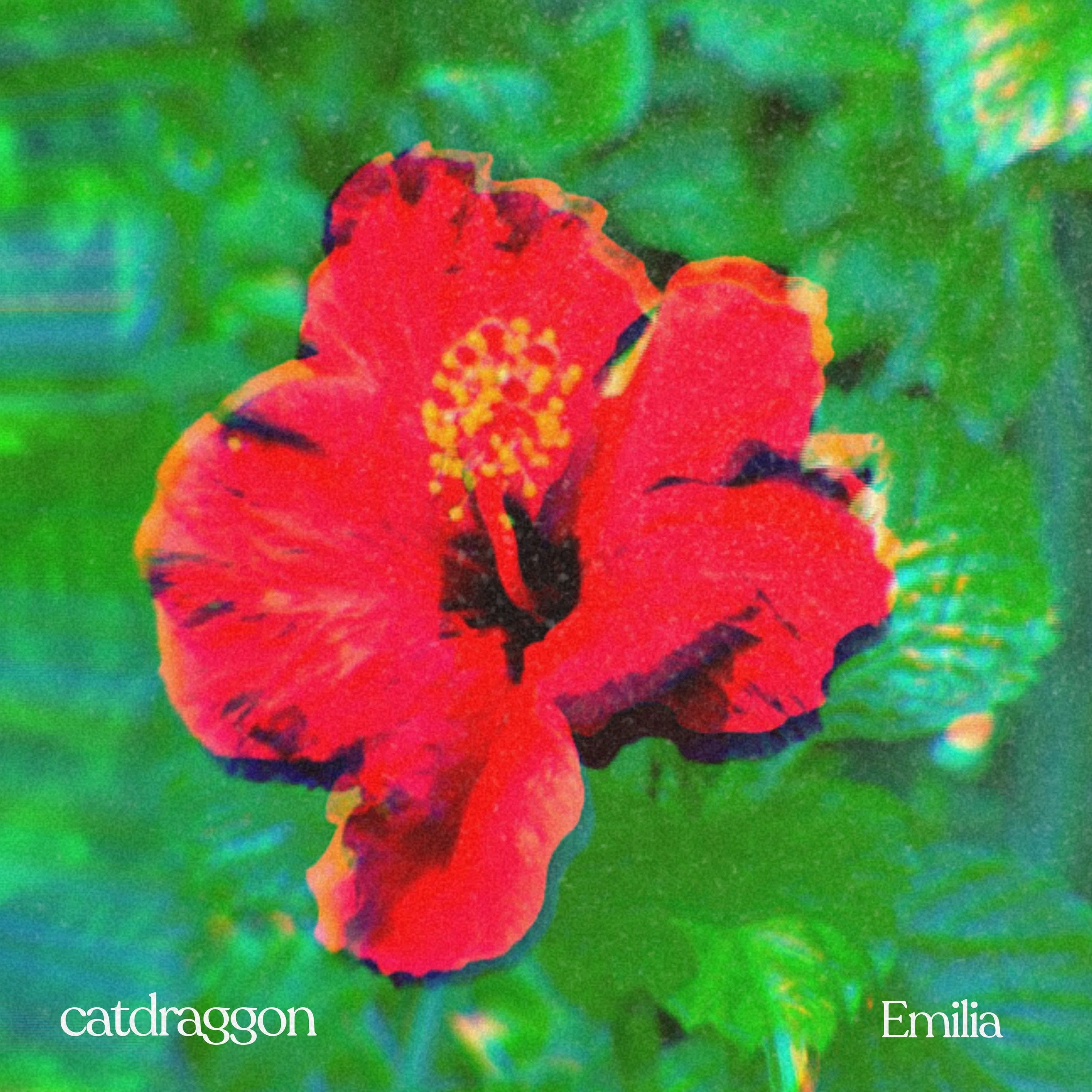 A close-up of a red flower with green leaves in the background.