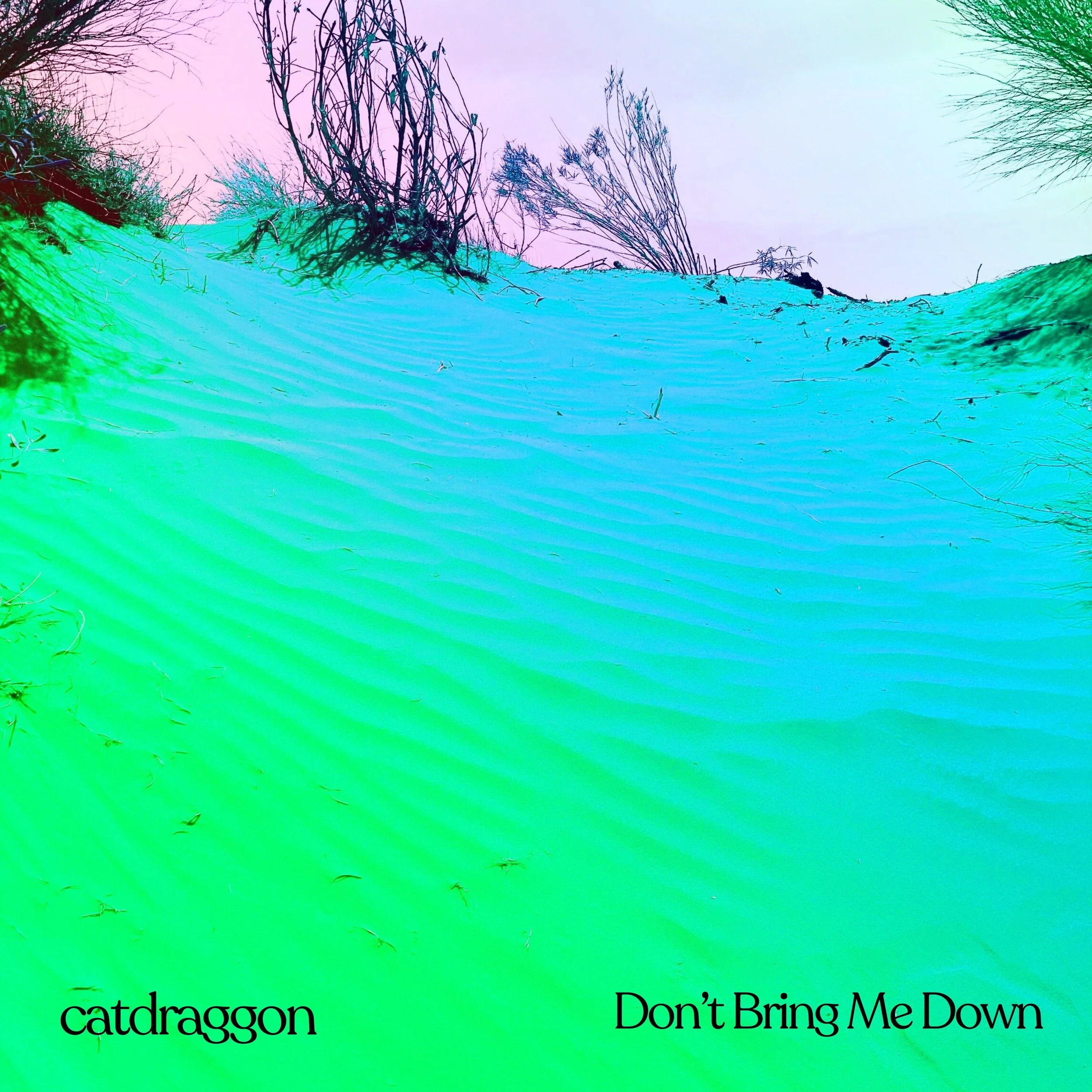 Colorful abstract image with blue, green, pink, and purple hues showing a landscape with trees and a sky, with text 'catdragoon' and 'Don't Bring Me Down' at the bottom.