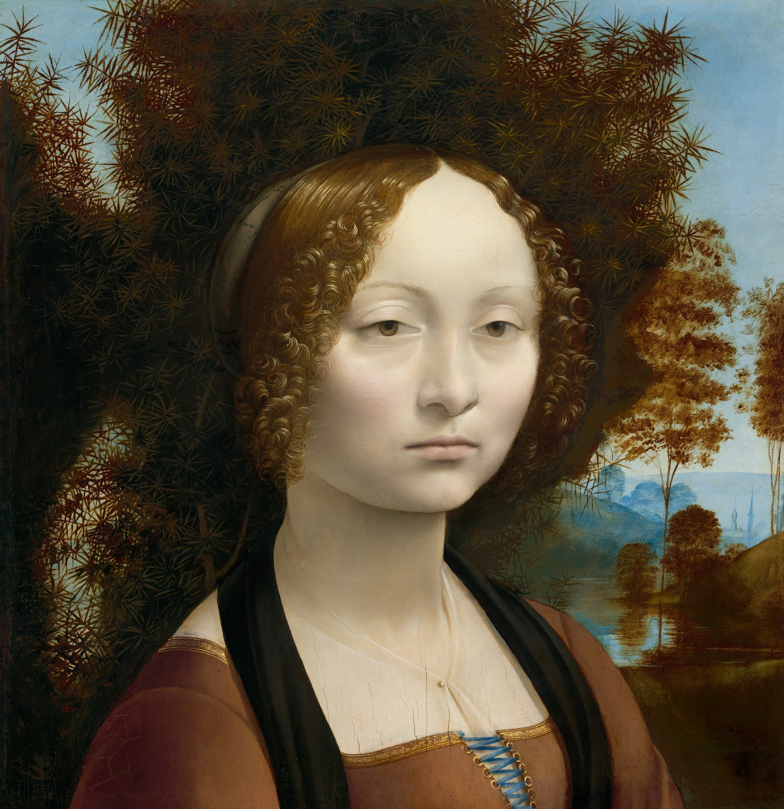 Da Vinci's Geneva portrait. Da Vinci's portrait has a woman in a brown dress looking off to the side with a tree in the background.