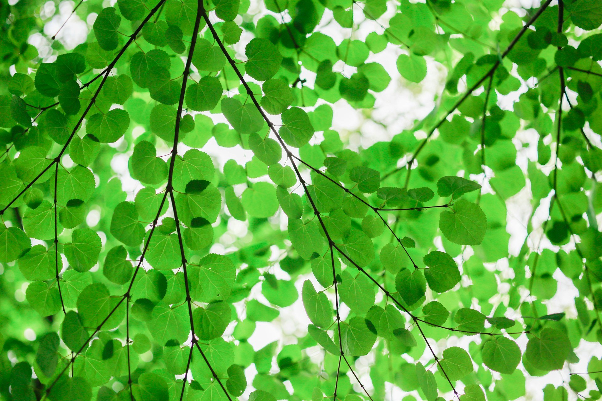 Naming our experience