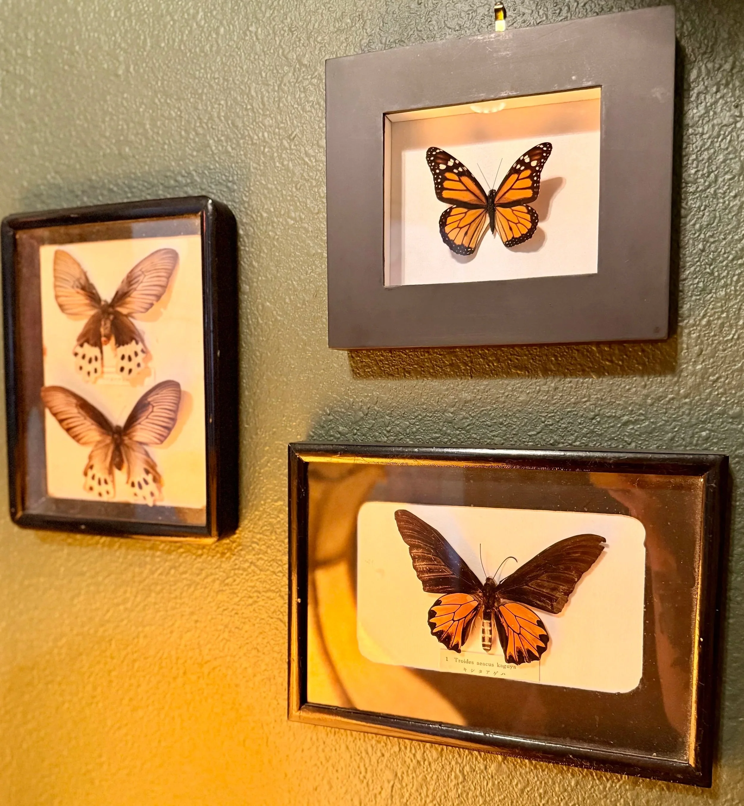 RustyRazor Revival - DeLand, FL