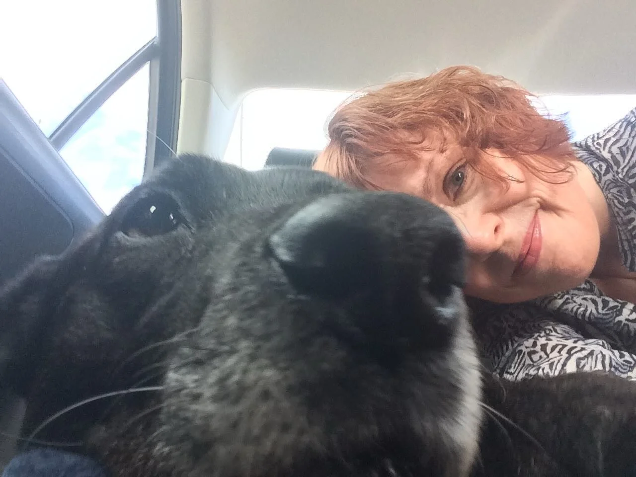 Found this old pic of me and Nik. Seven years gone and we miss her still. #The Pet-Sit novel #petsofinstagram #dogsofinstagram #women&rsquo;s fiction #survivorship #psychologicalsuspense #kindleunlimitedbooks #paranormal