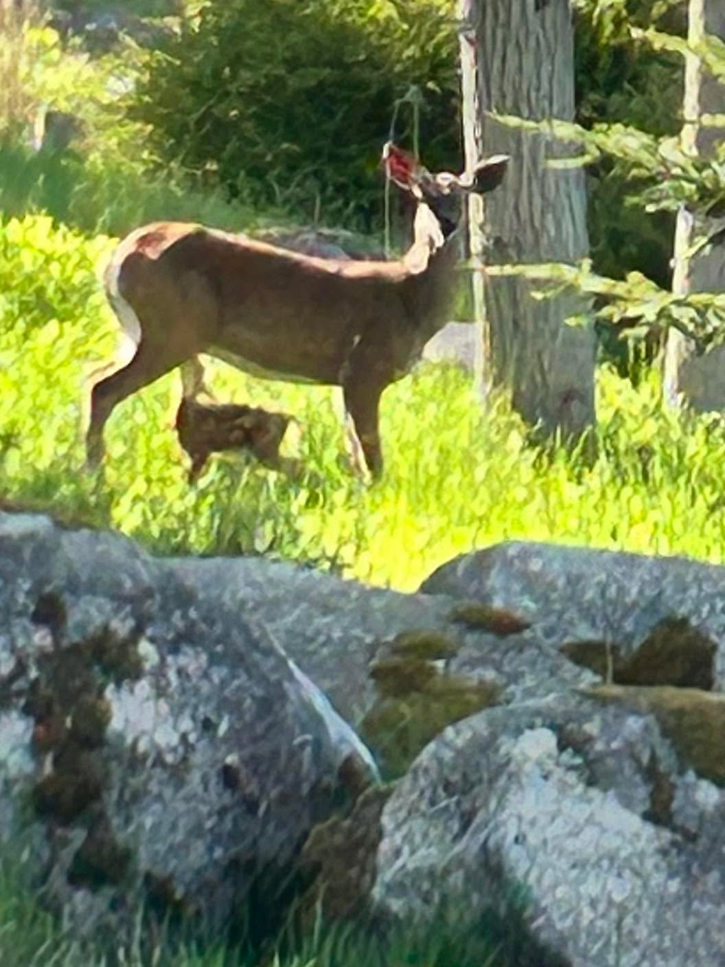 Beautiful day for a walk