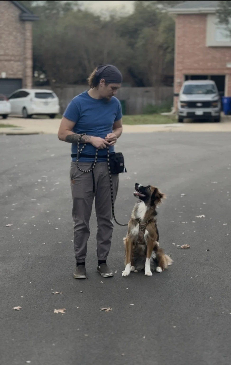 Kyle working with an attentive dog during training