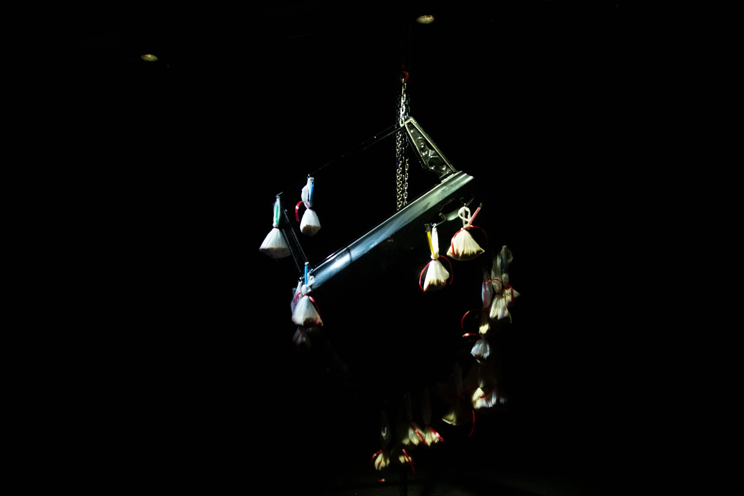 20220607_octopus_PS_MengwenCao-002 (1).jpg