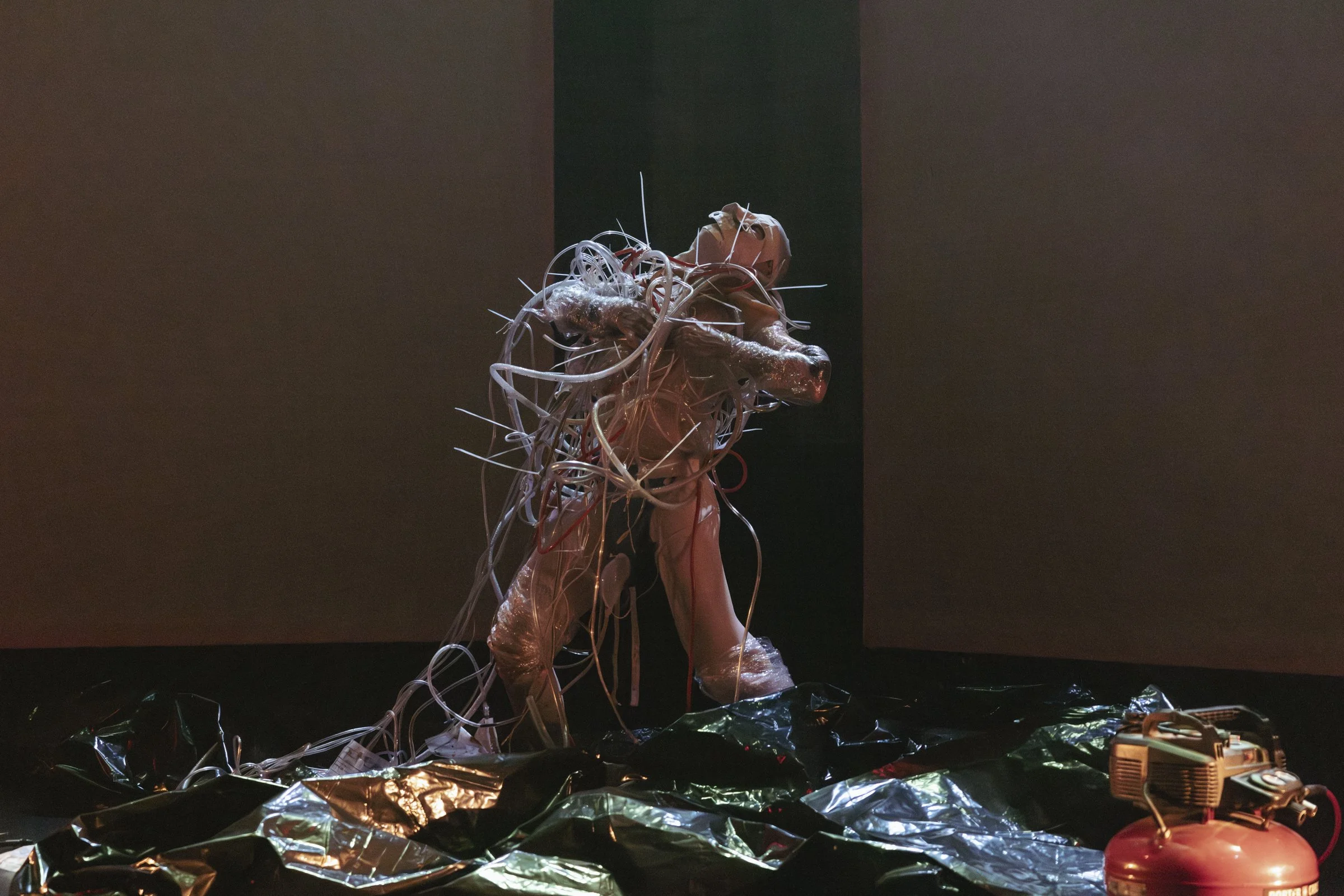 Front242 - Žilvinas Jonusas, Sarazina Stein , Emla LaRochelle, Quique Rios-Ellis,  Ansel Combs