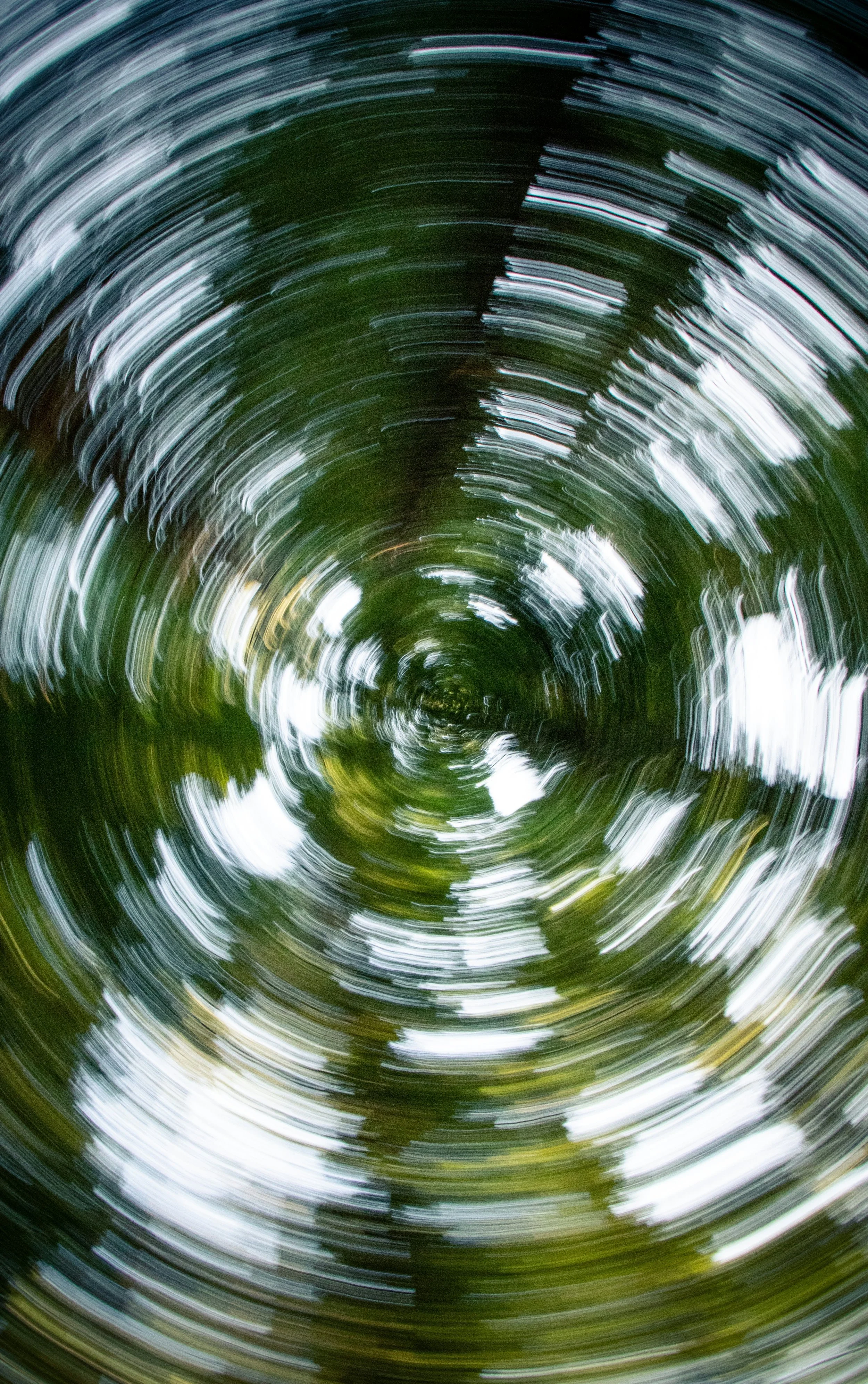 Blurred circular motion of trees illustrating the spinning sensation commonly experienced during vertigo episodes
