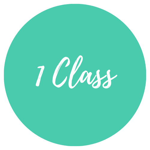 1 Class Pass