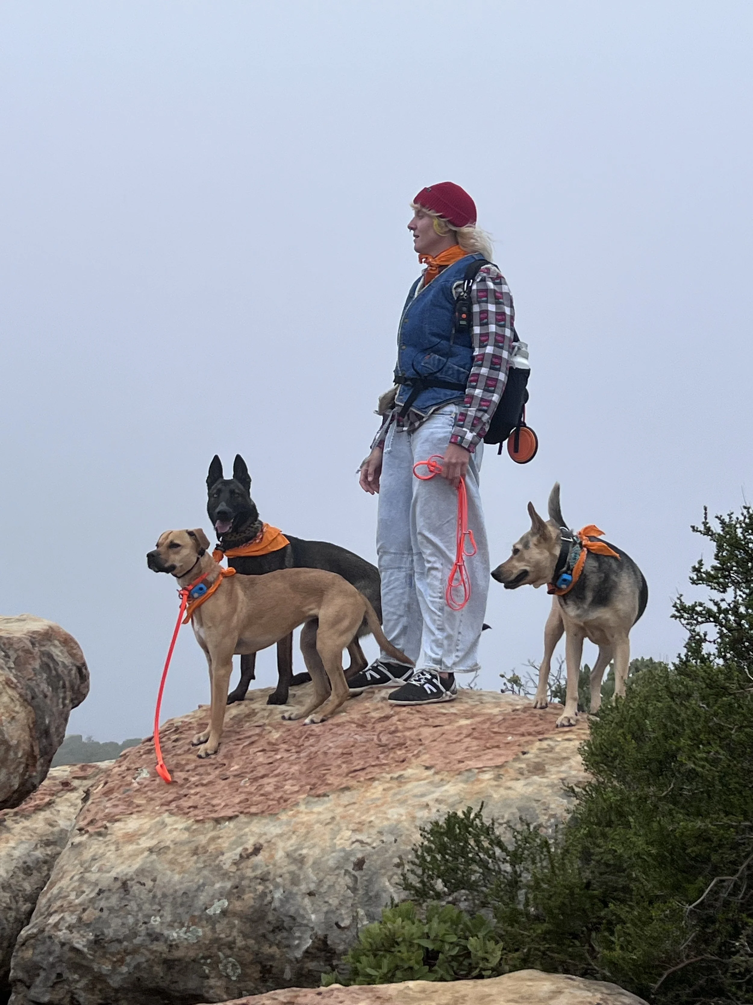A person with three dogs on a rocky hilltop with bushes around, wearing outdoor gear including a red beanie, plaid shirt, vest, and sweatpants.