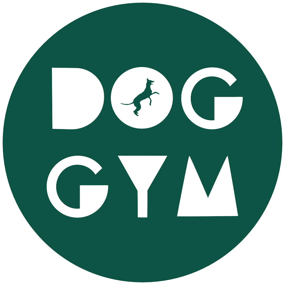 DOG GYM