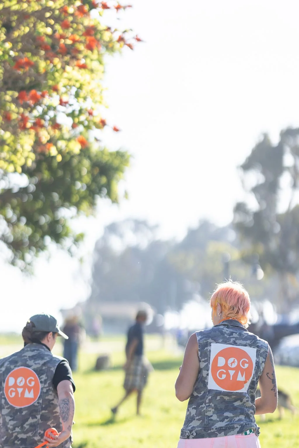 People wearing vests with a dog gym logo, playing with dogs on a grassy field with trees and sunny sky.