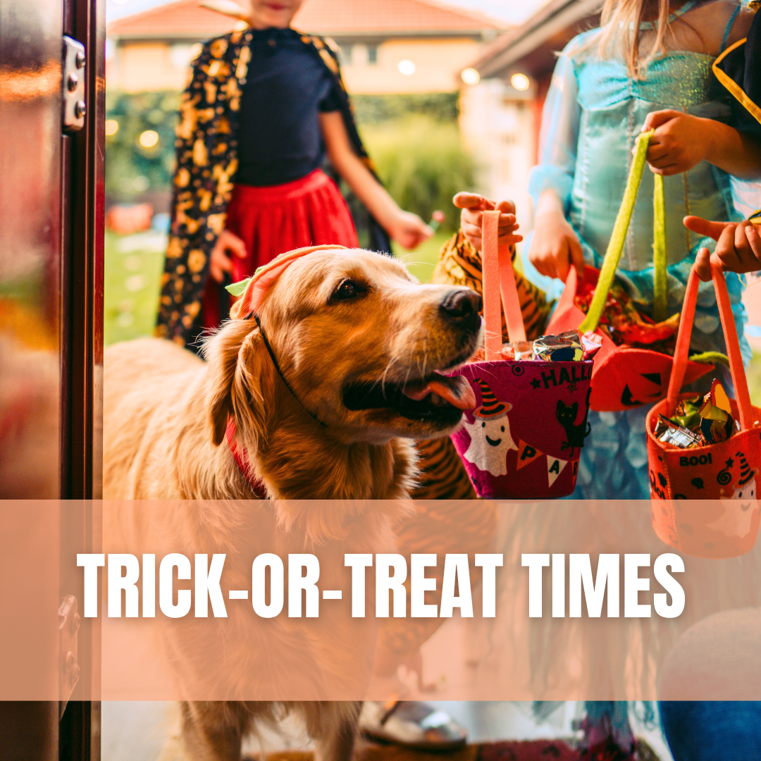 A family dressed in Halloween costumes handing out candy to children at their doorstep on Halloween.