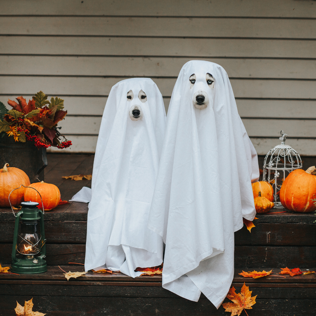Guide to Spooky Events Happening in Pittsburgh