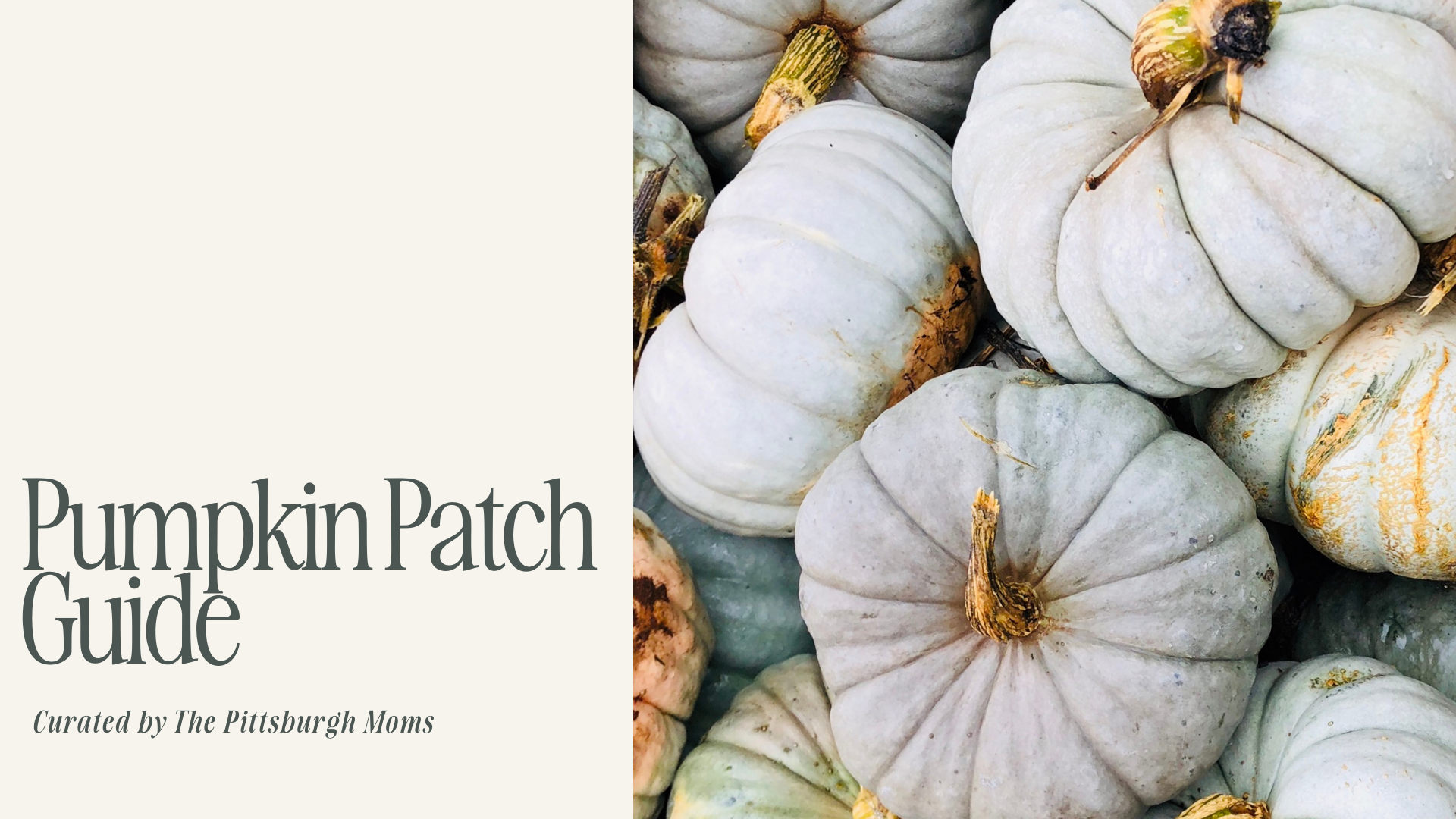 Pumpkin Patch Guide