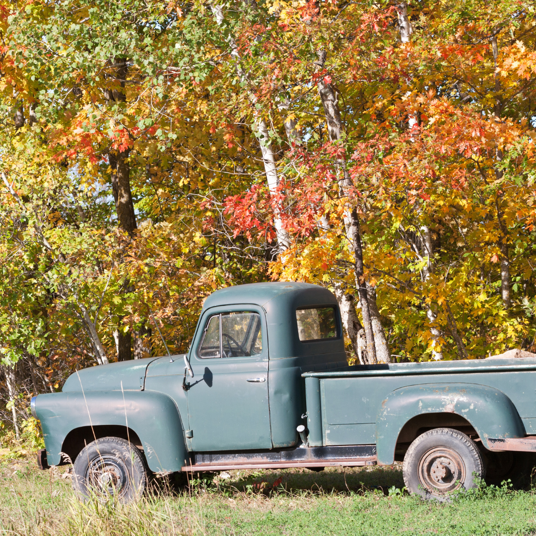 Top 5 Fall Festivals in Pittsburgh