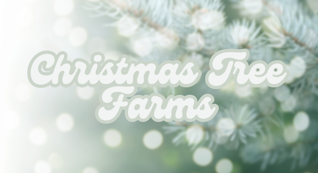 Christmas Tree Farm Guide