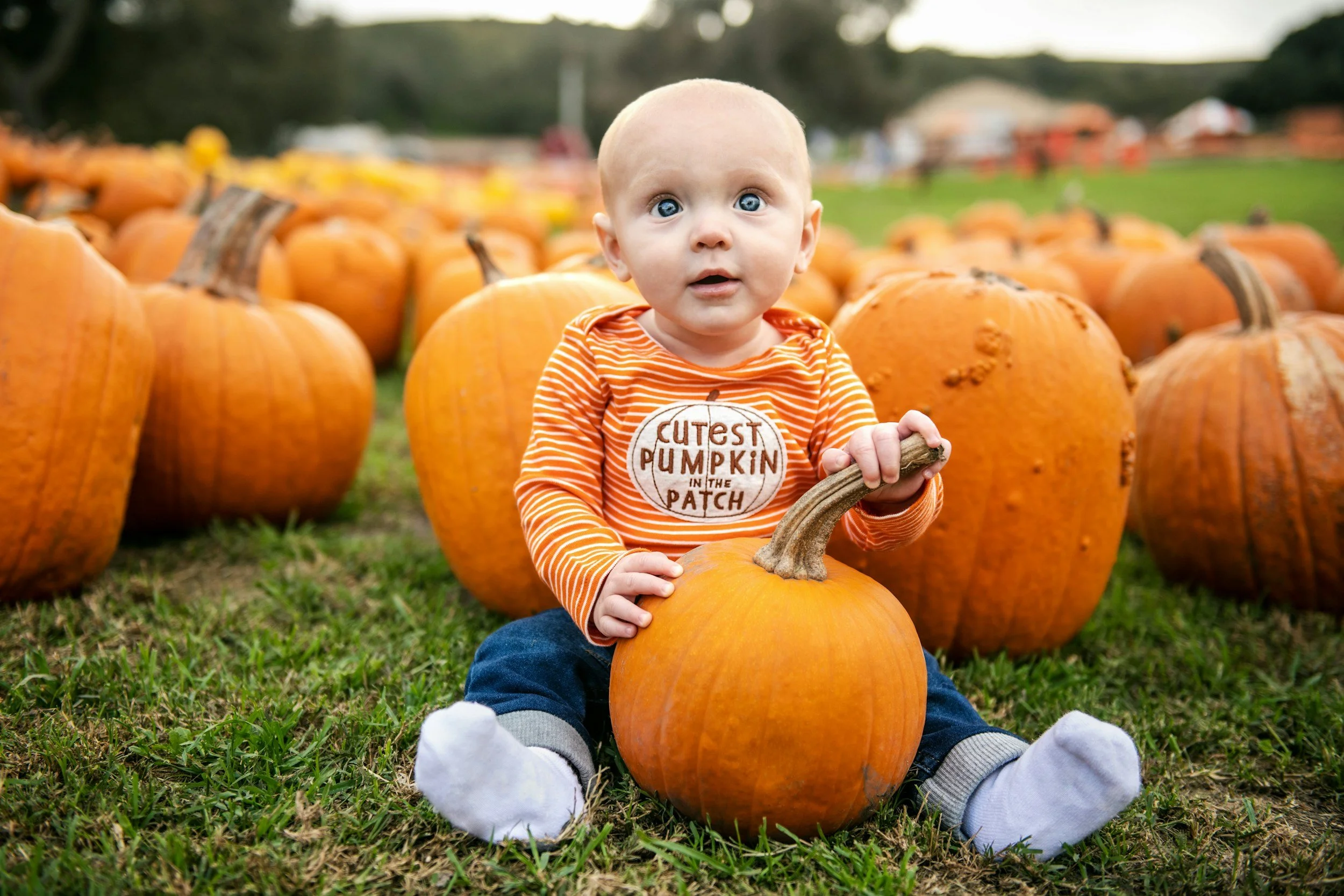 pumpkin patch baby