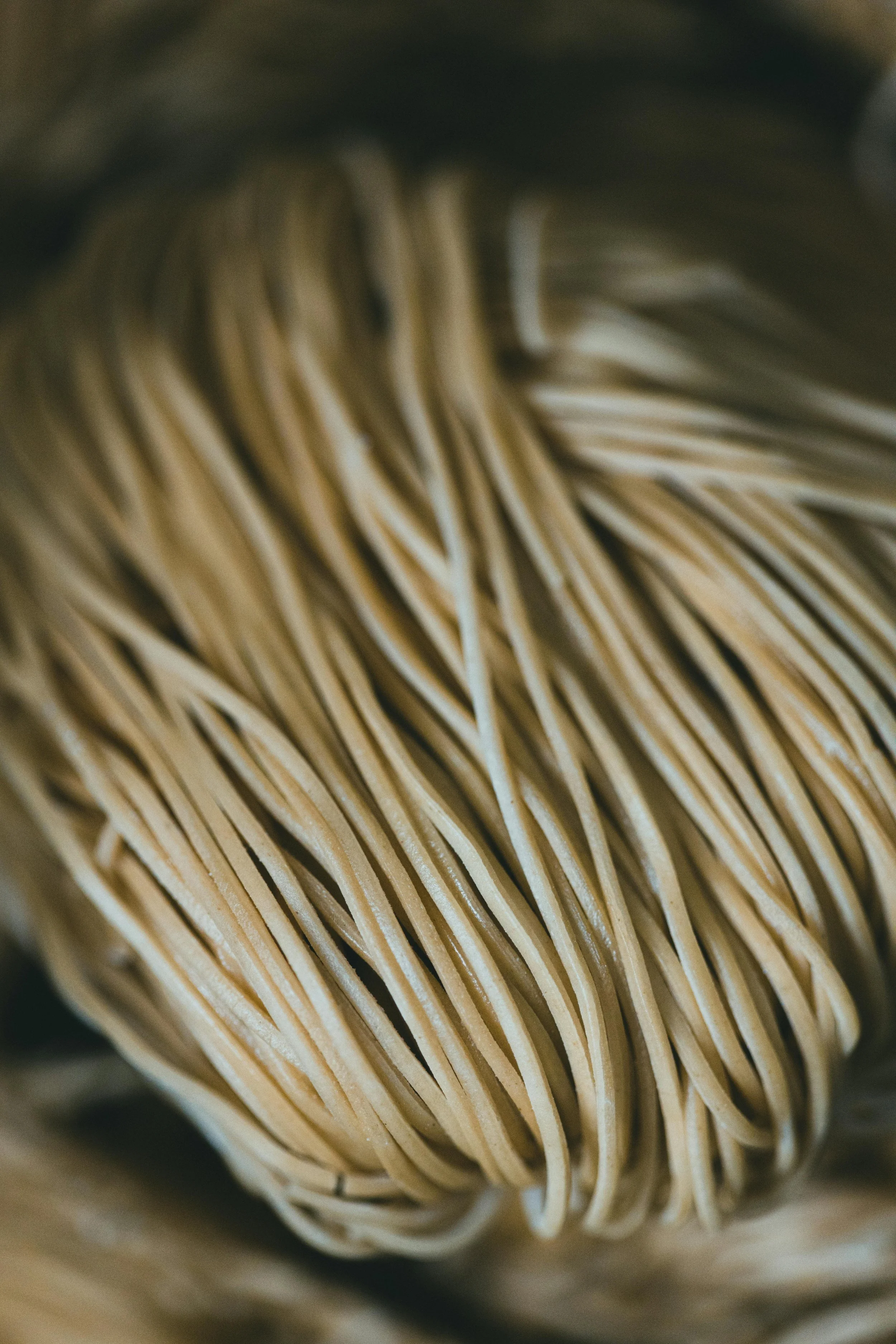 Pâtes Fraîches-Spaghetti 200g