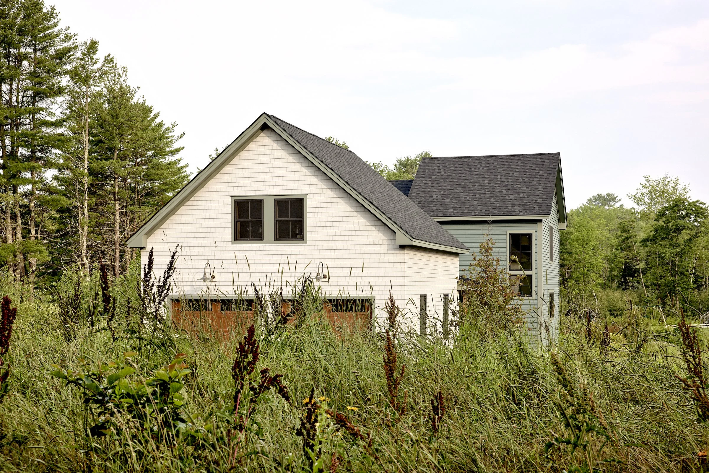 0078-Nesting-Ground-9Q7A8596 copy.jpg