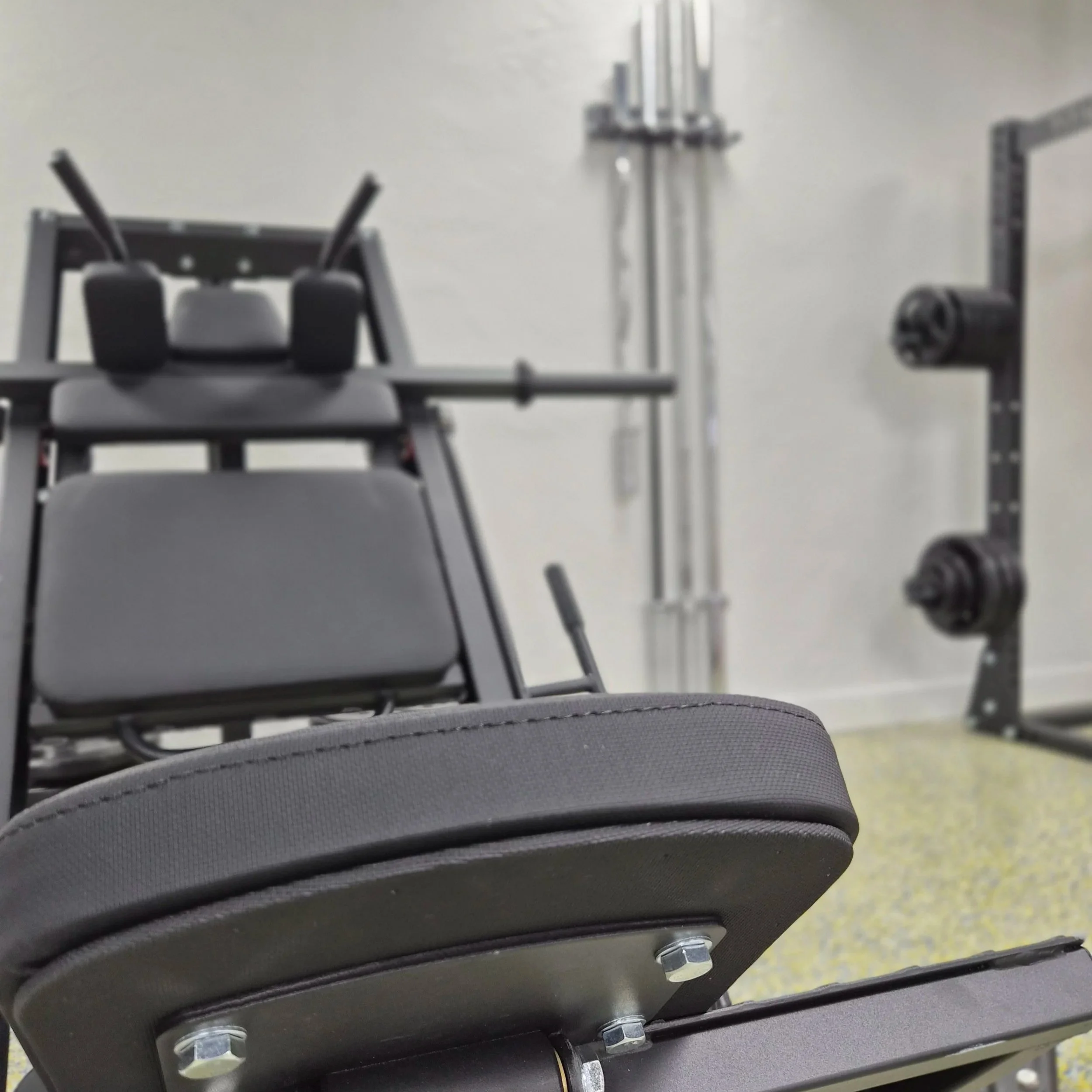 Hack Squat/ Leg Press