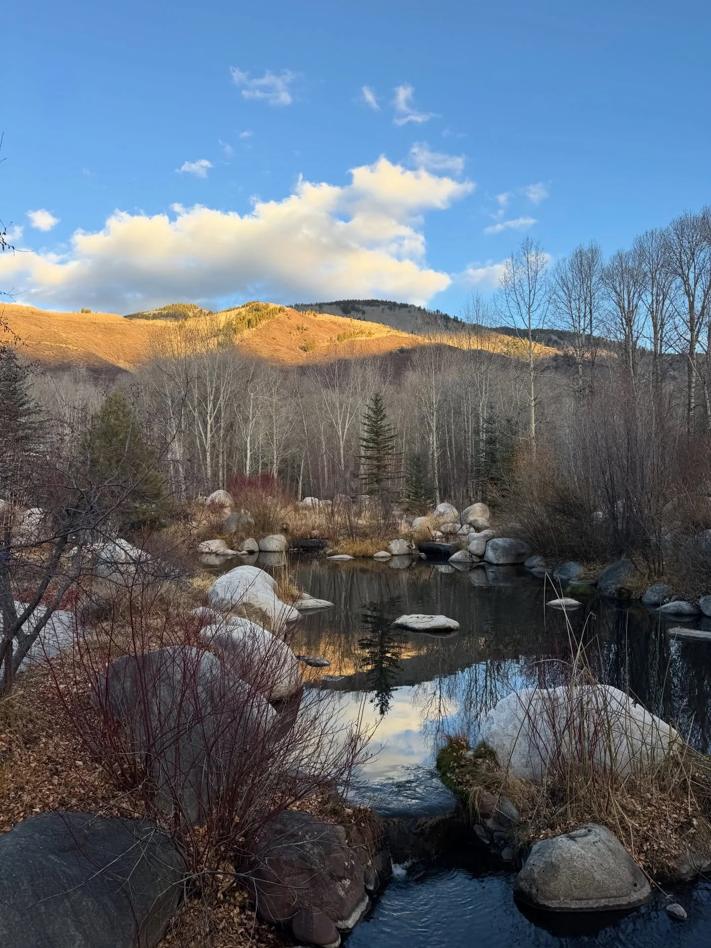 That natural Aspen color palette.