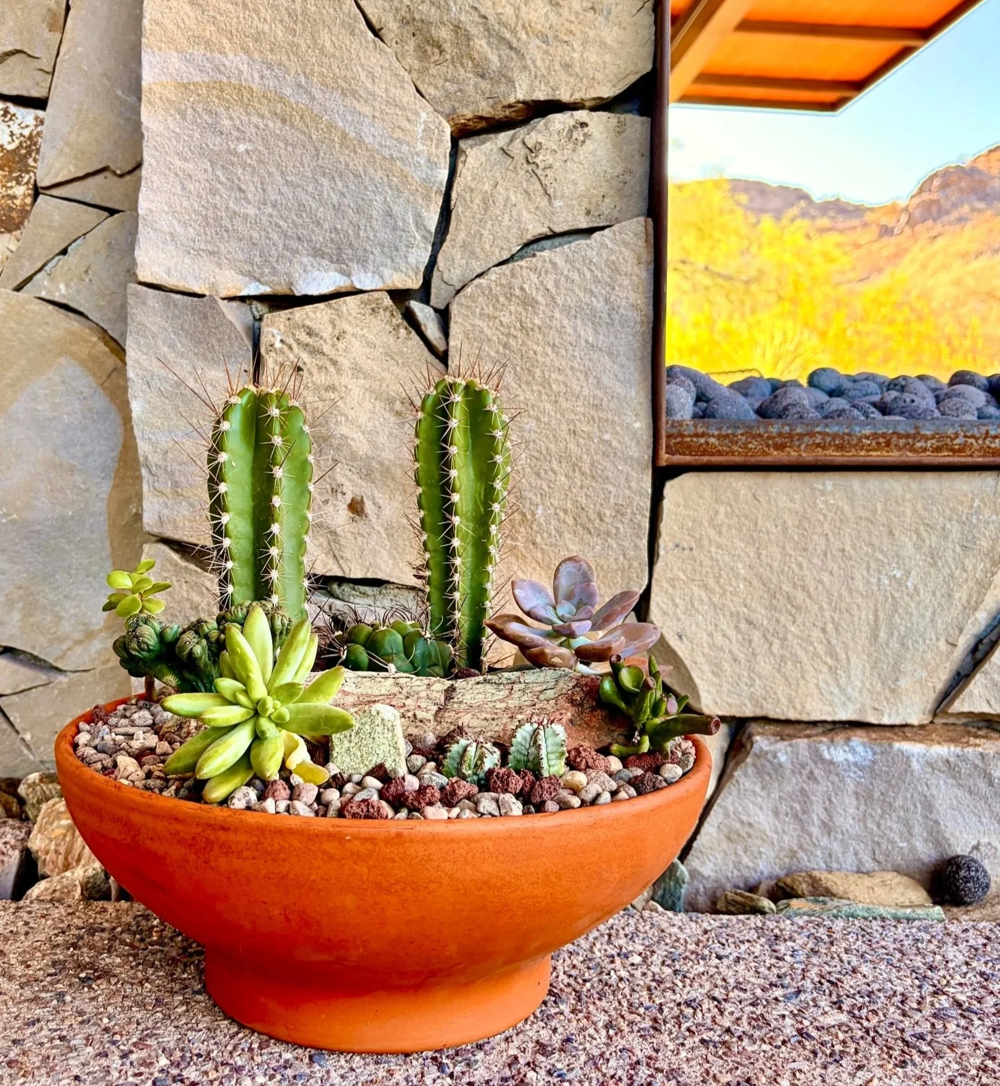 Photo%2BMay%2B31%2B2026%252C%2B7%2B55%2B45%2BAM.jpg