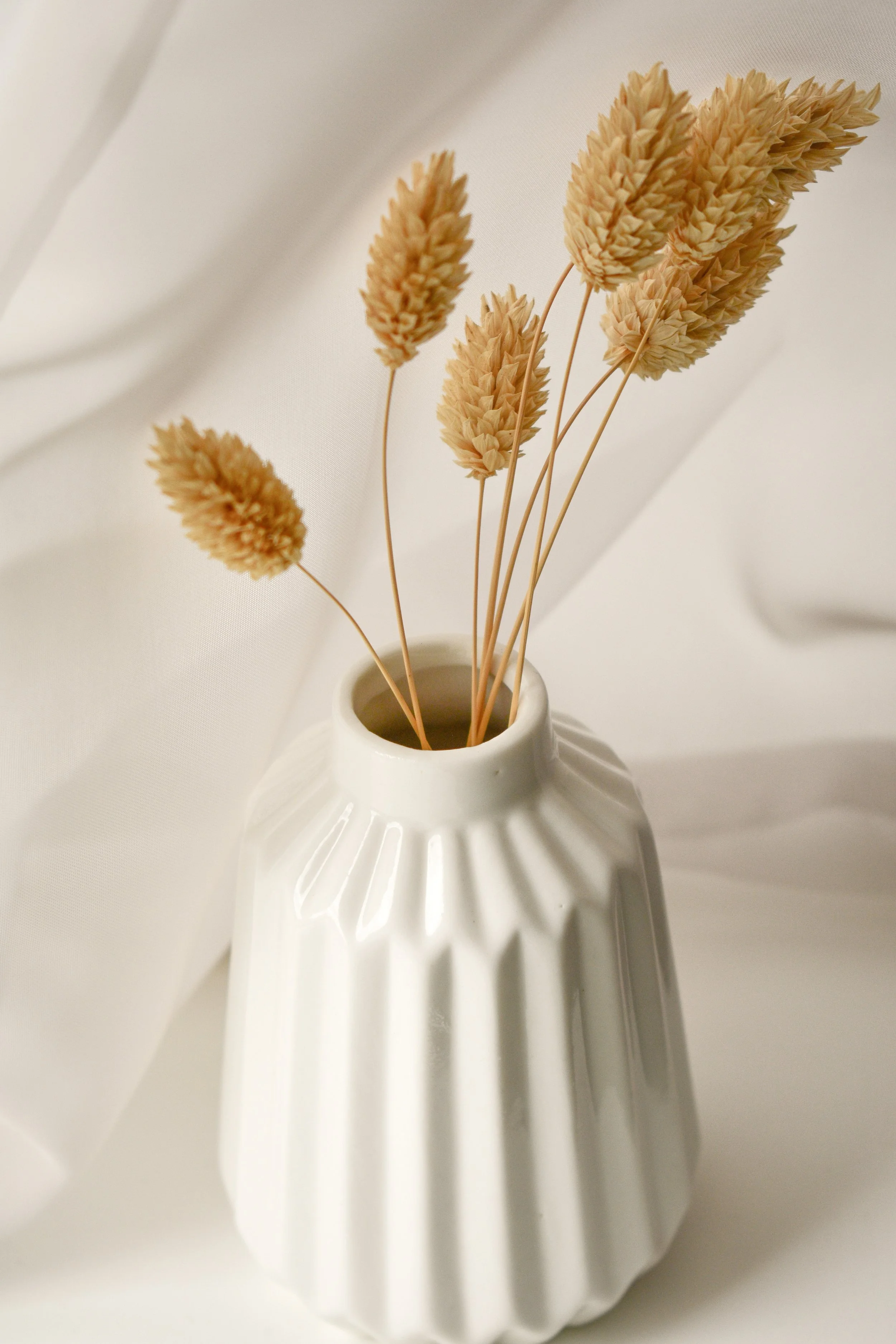 A white ceramic vase with ridges, holding dried beige decorative grasses, set against a light background.