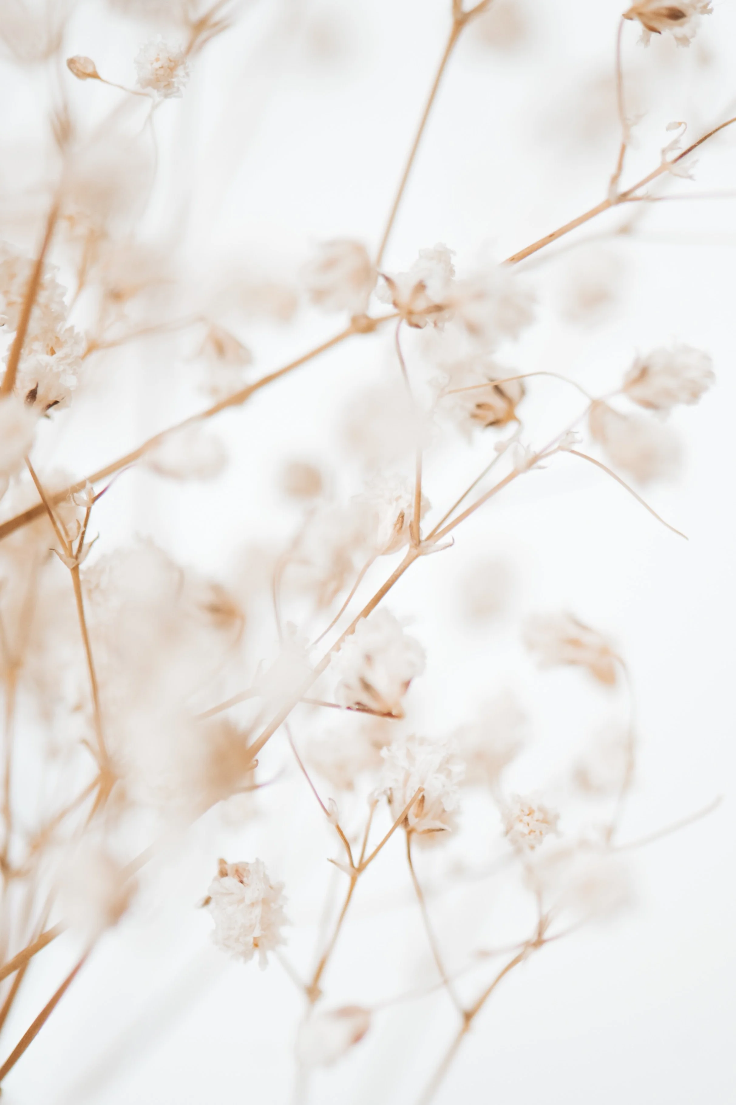 Trauma PTSD Therapy Arlington Texas