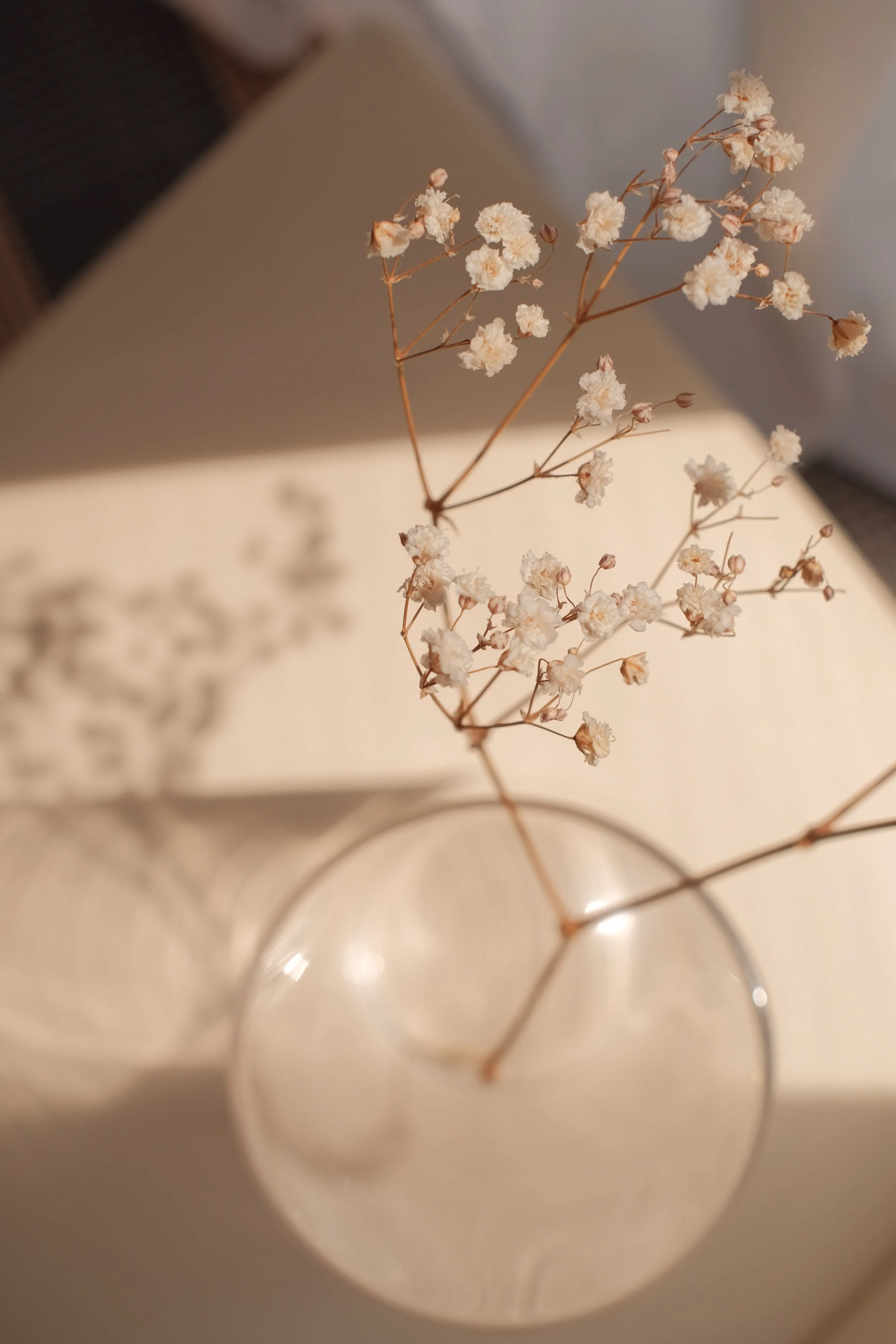A clear glass vase with dried white baby's breathe flowers on a white surface, with shadows cast on the surface.