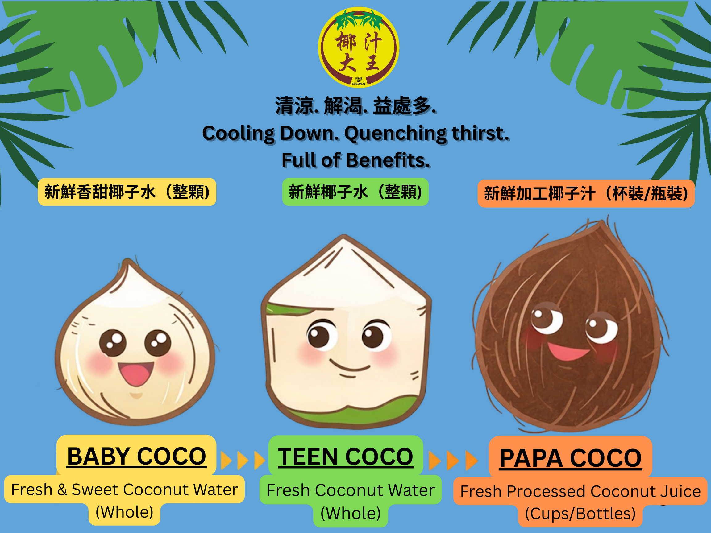 Coconut Different Types.png