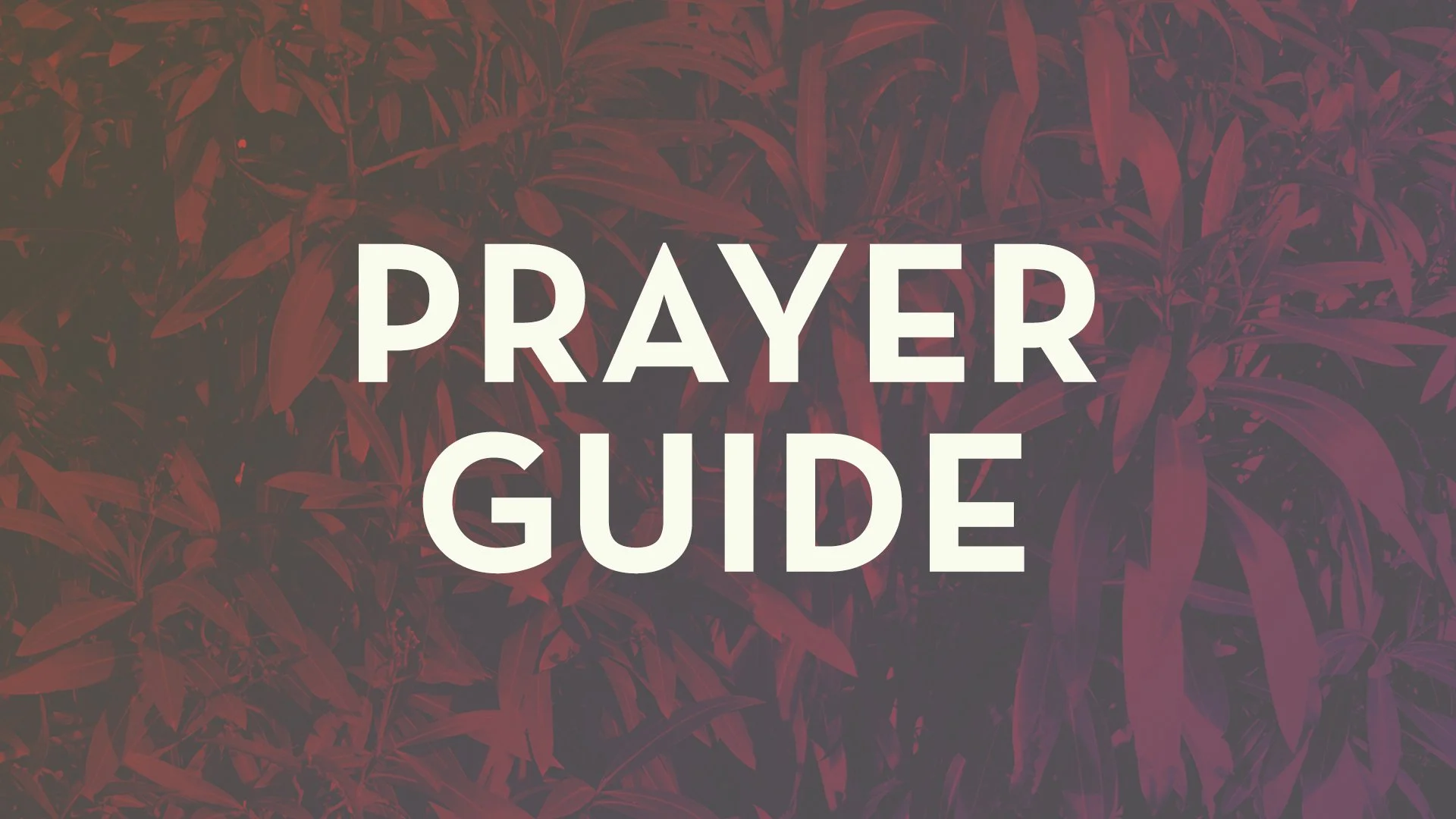Prayer Guide