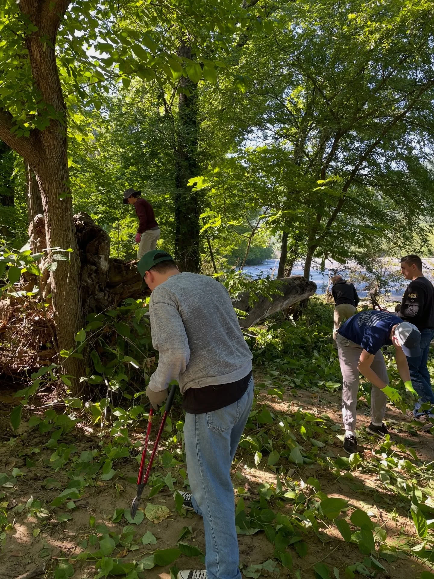 Happy Earth Day 🌱
.
.
.
.
.
This home is wonderful - let&rsquo;s keep it wild 🫶🏽

#atcspotlight #earthday #appalachiantrail #trektheat