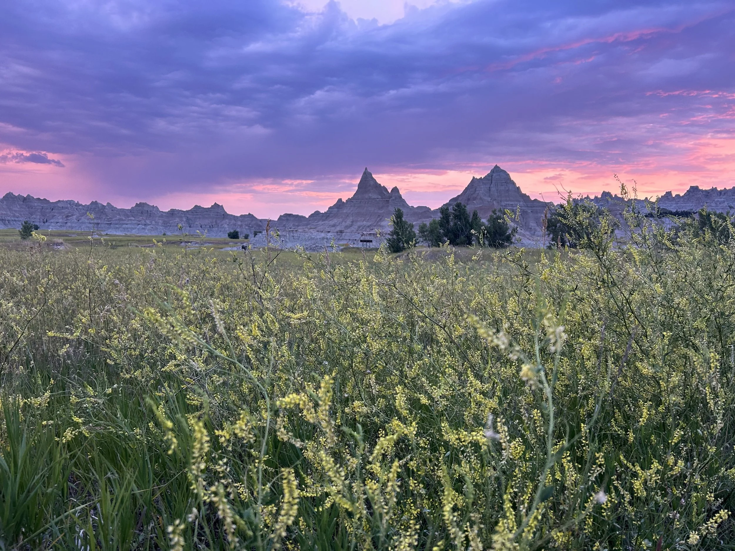 A landscape of badlands with tall, jagged rock formations under a colorful sunset sky, with green grass and wildflowers in the foreground.
