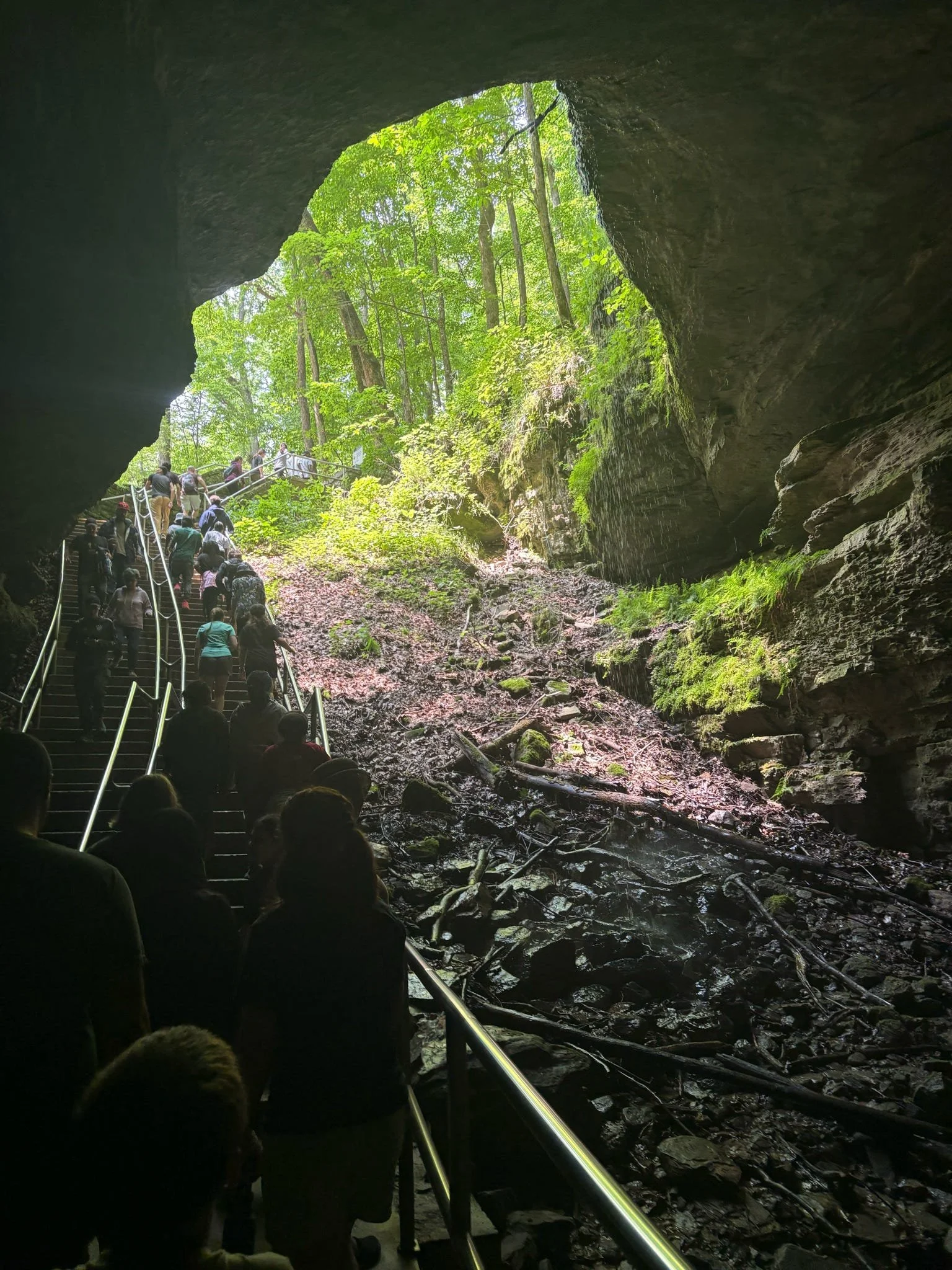 People standing in line inside a dark cave looking towards the opening with sunlight and green trees outside.