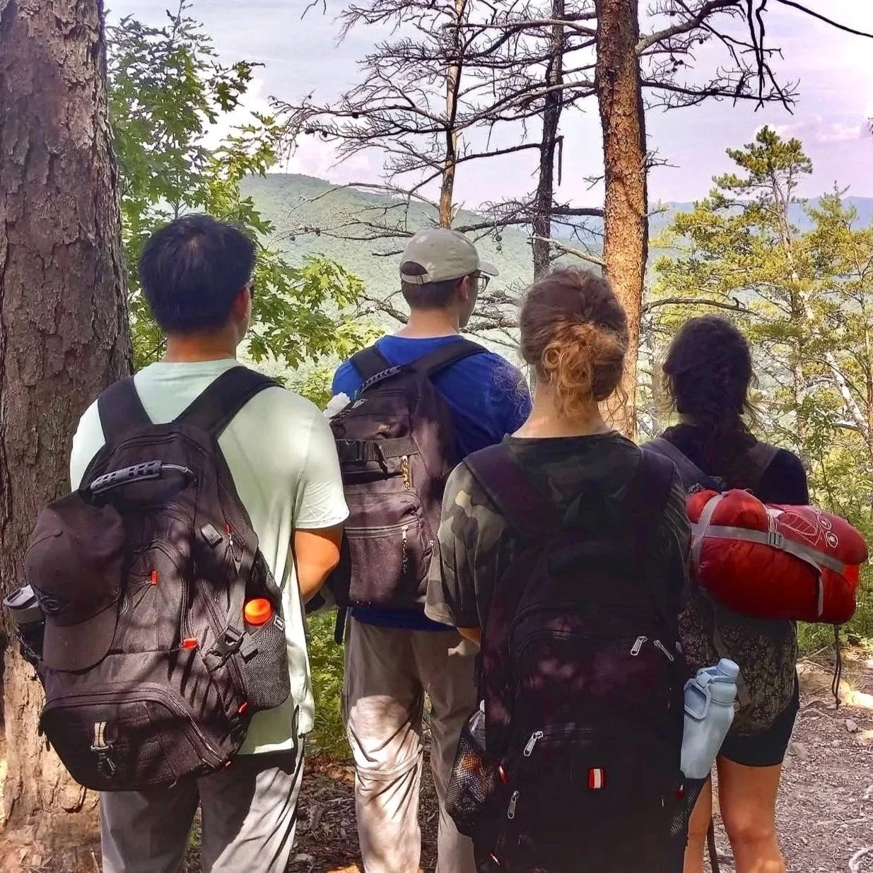 Four hikers with backpacks standing in a forest looking at the mountains in the distance.