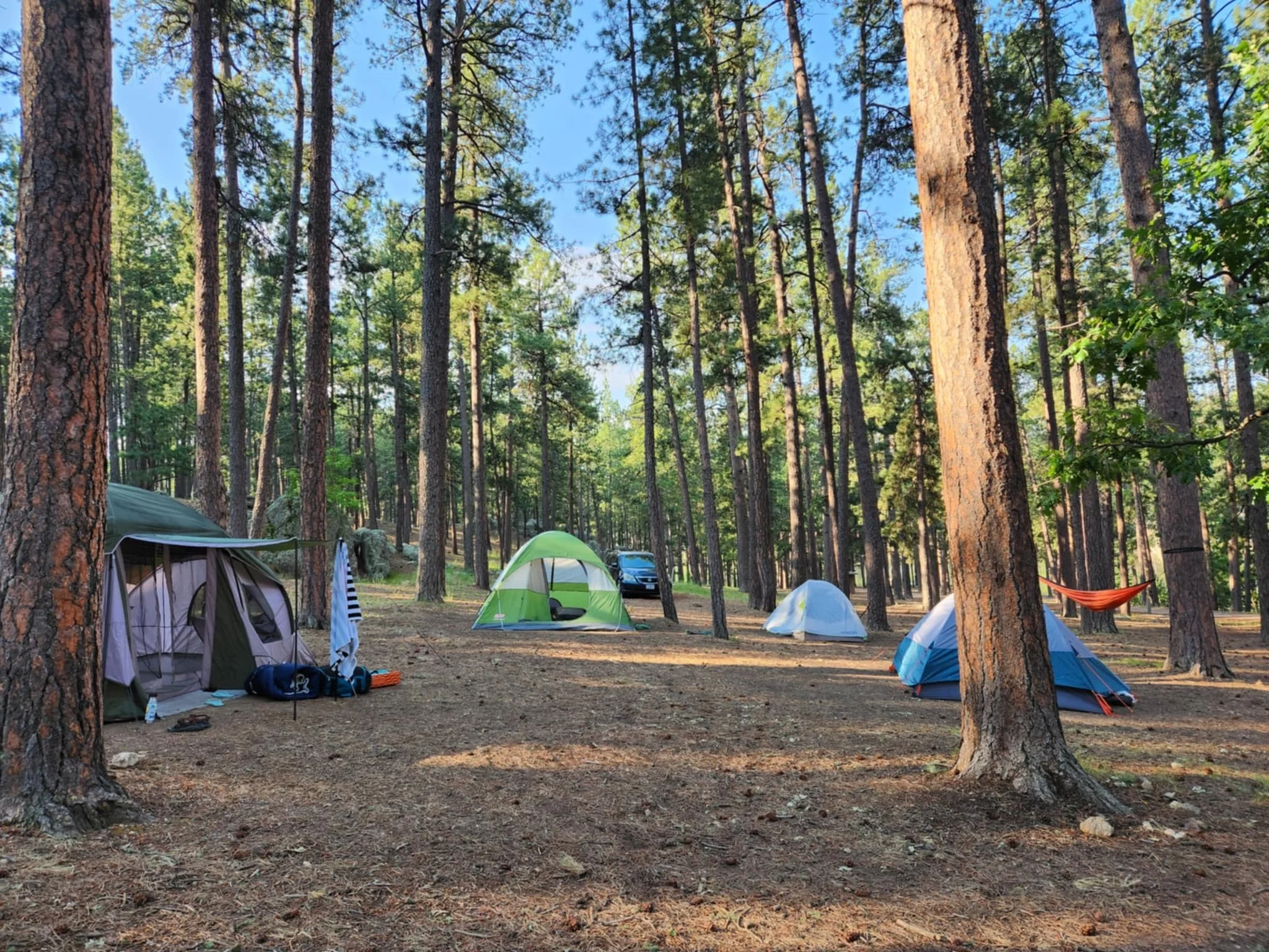 Camping scene in a forest with tents, a hammock, and a parked car among tall trees