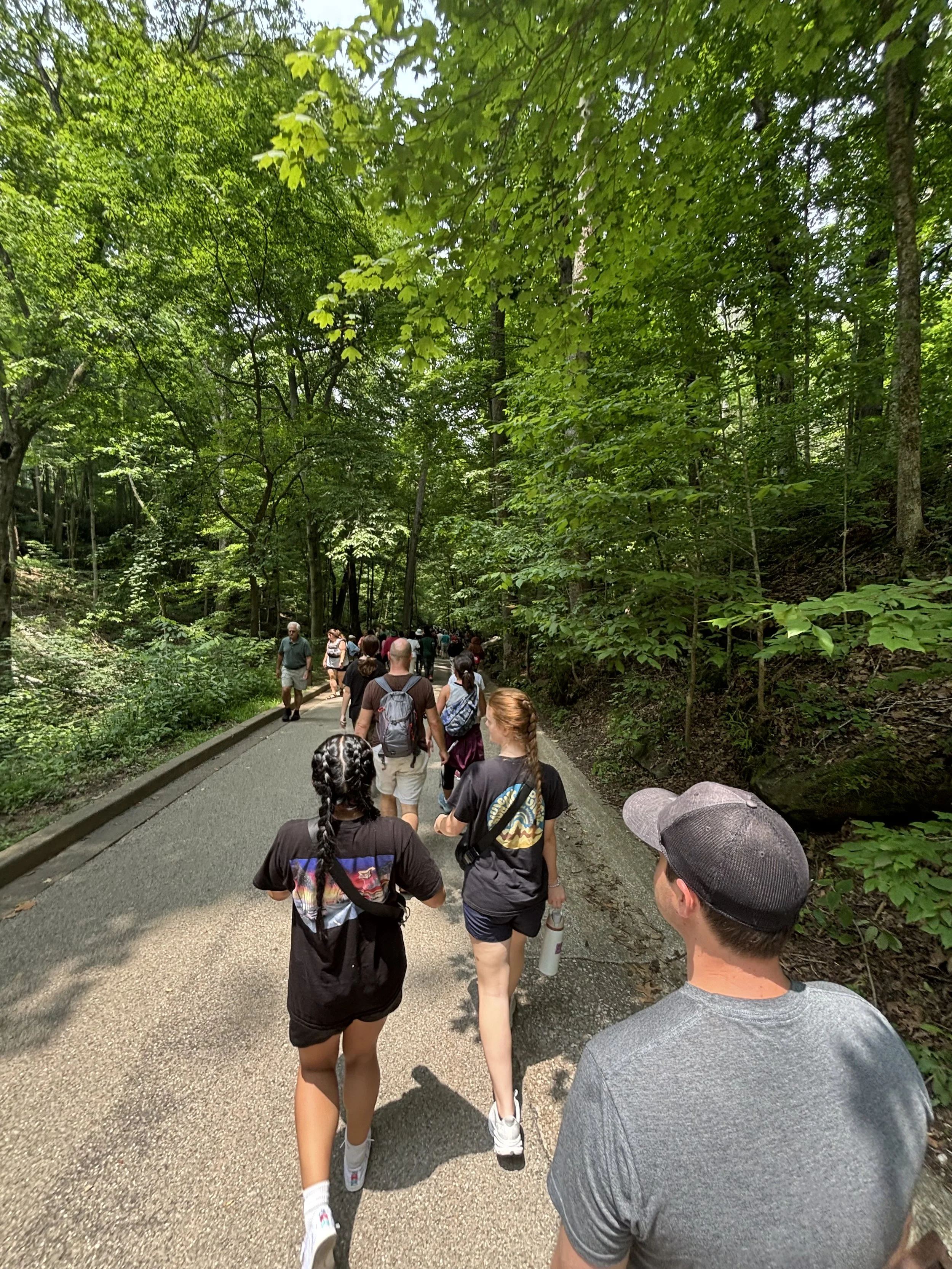 People walking on a tree-lined park trail on a sunny day.