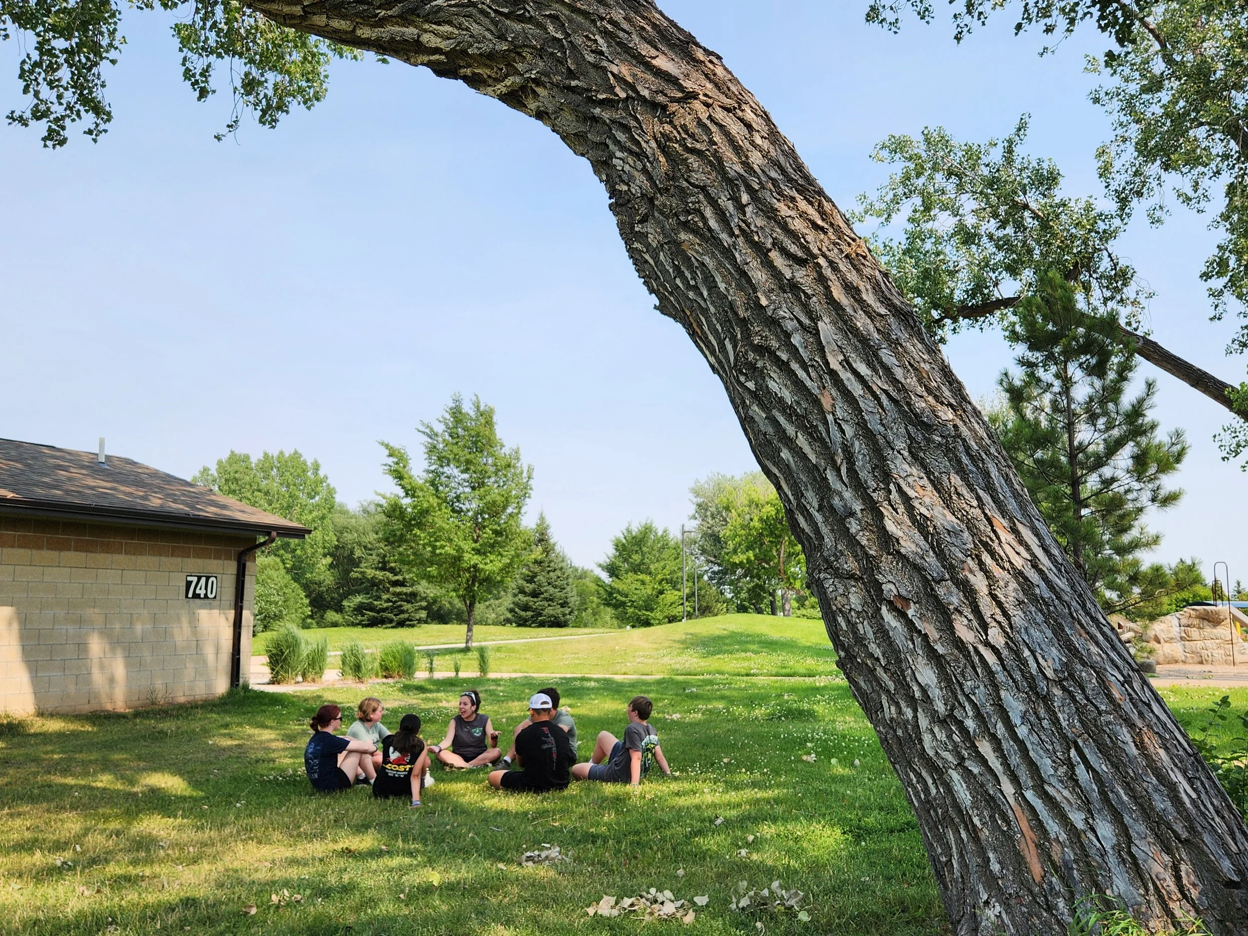 A group of children sitting on the grass in a park, engaged in conversation, with a large leaning tree in the foreground and a building on the left.
