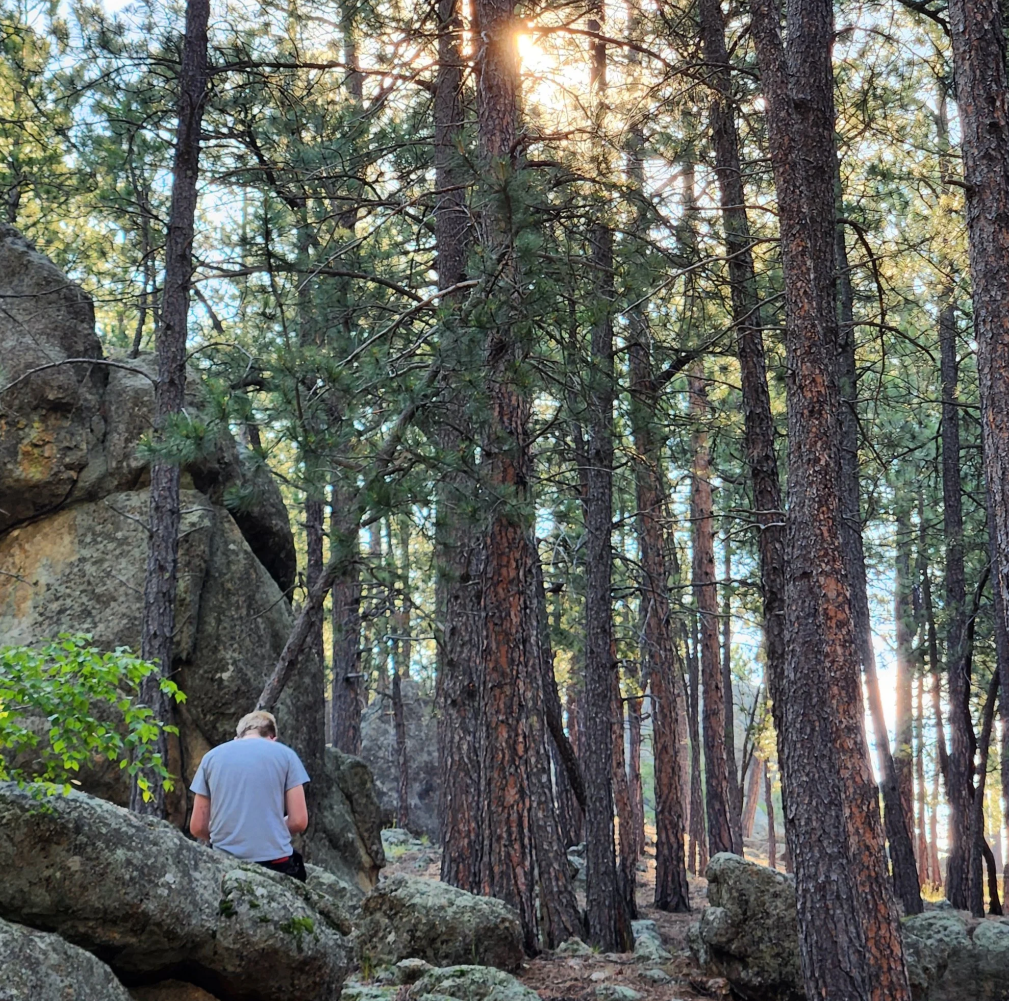 A person with blond hair in a gray t-shirt sitting on rocks in a dense pine forest during sunset.